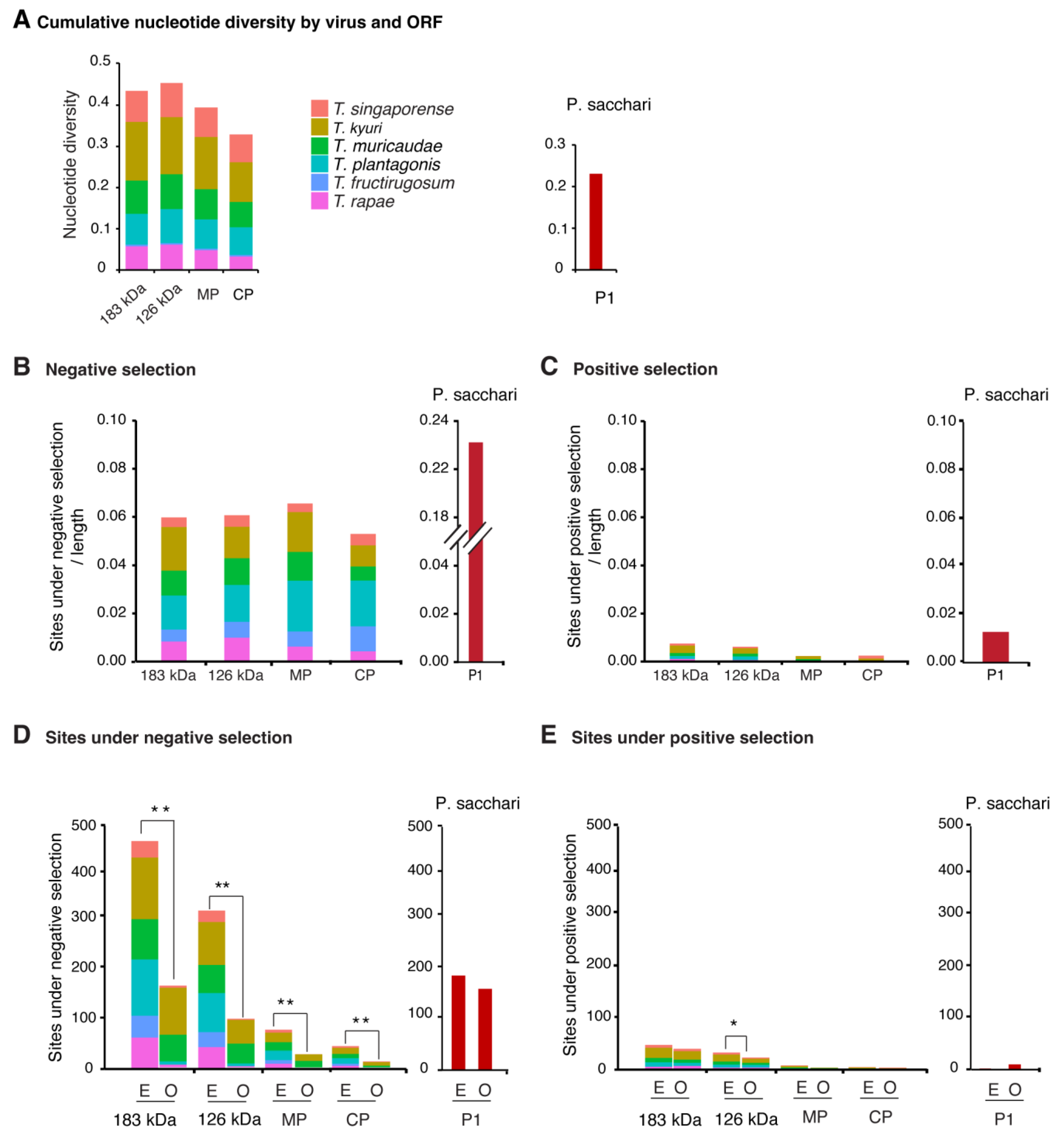 Viruses 17 01284 g005 Viruses 17 01284 g005
