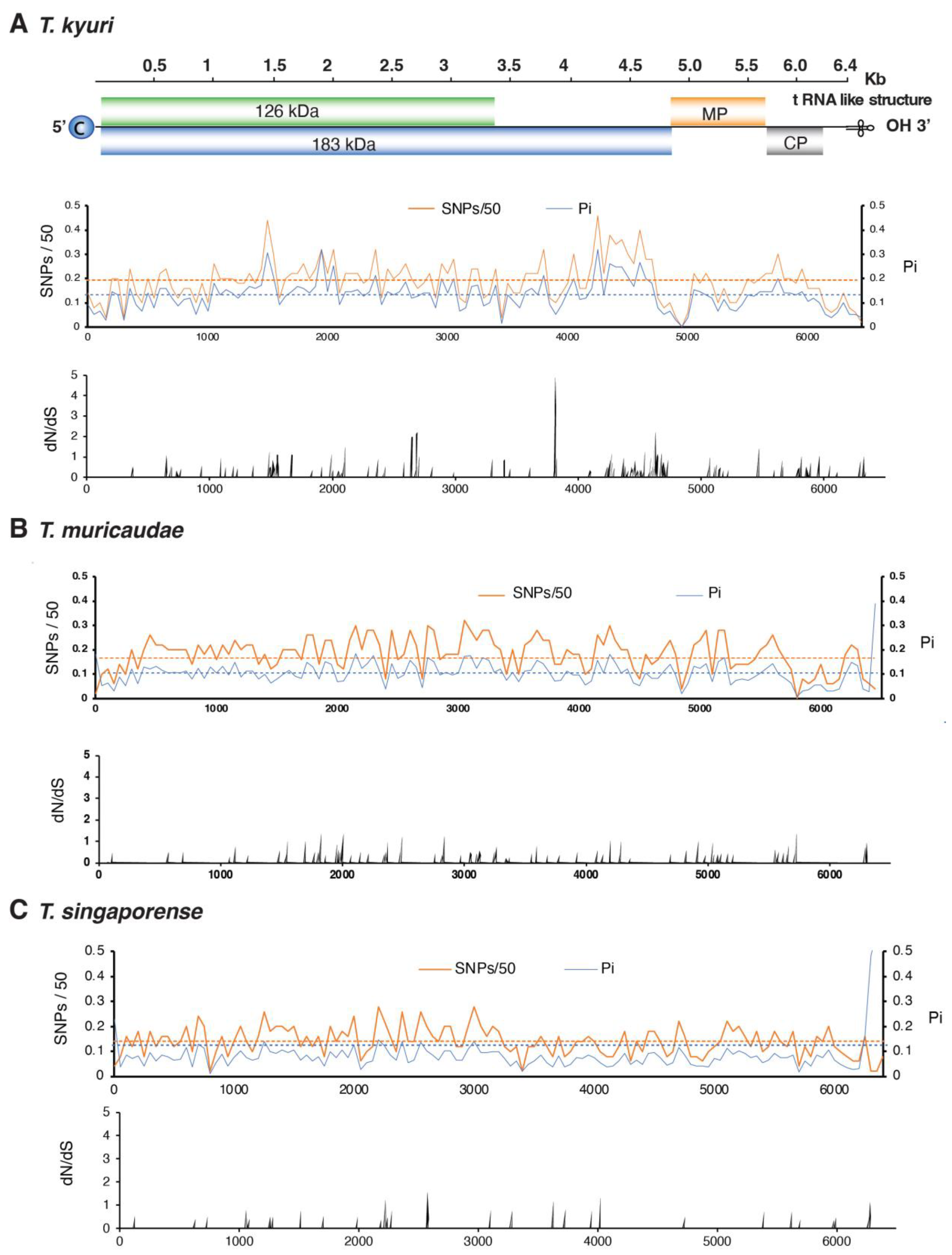 Viruses 17 01284 g006 Viruses 17 01284 g006