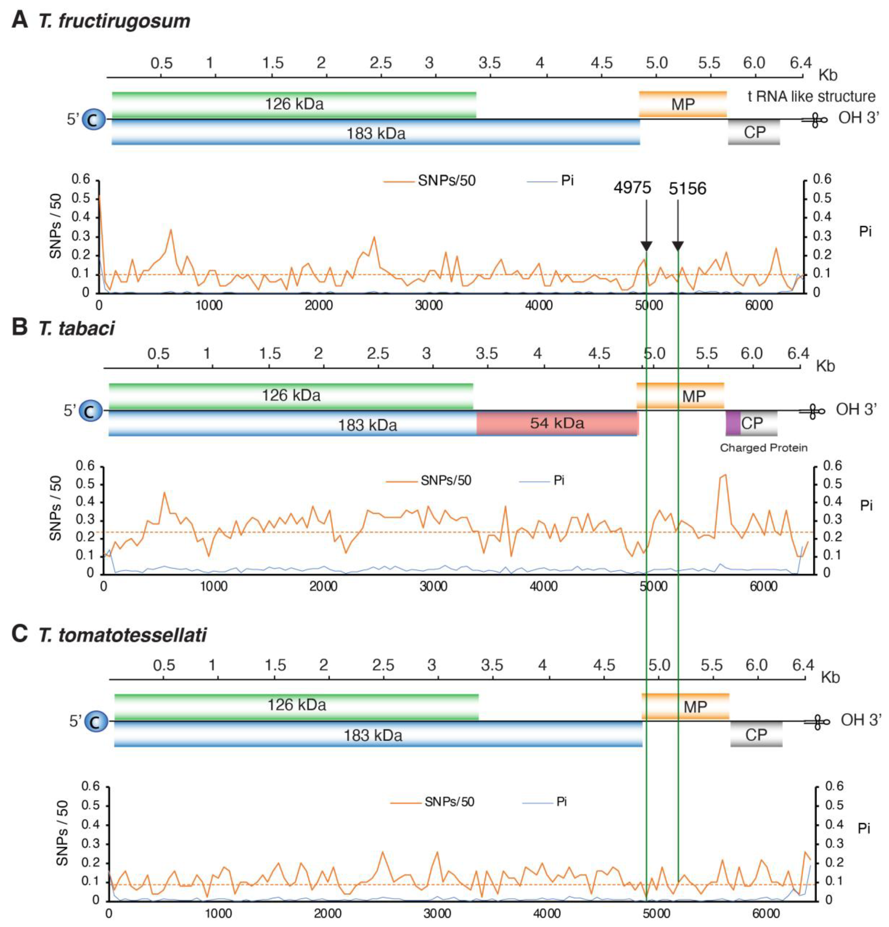 Viruses 17 01284 g008 Viruses 17 01284 g008