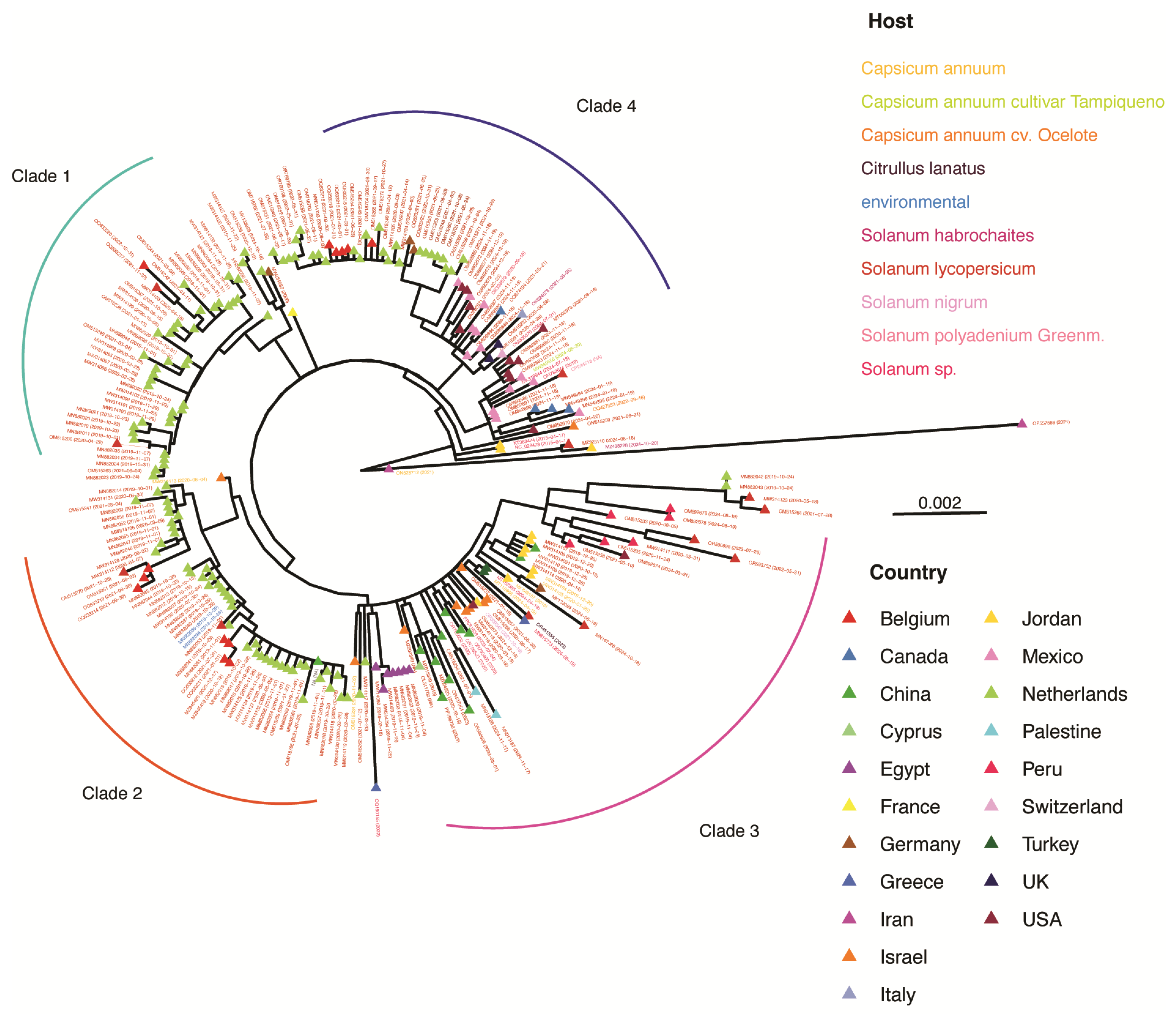 Viruses 17 01284 g009 Viruses 17 01284 g009