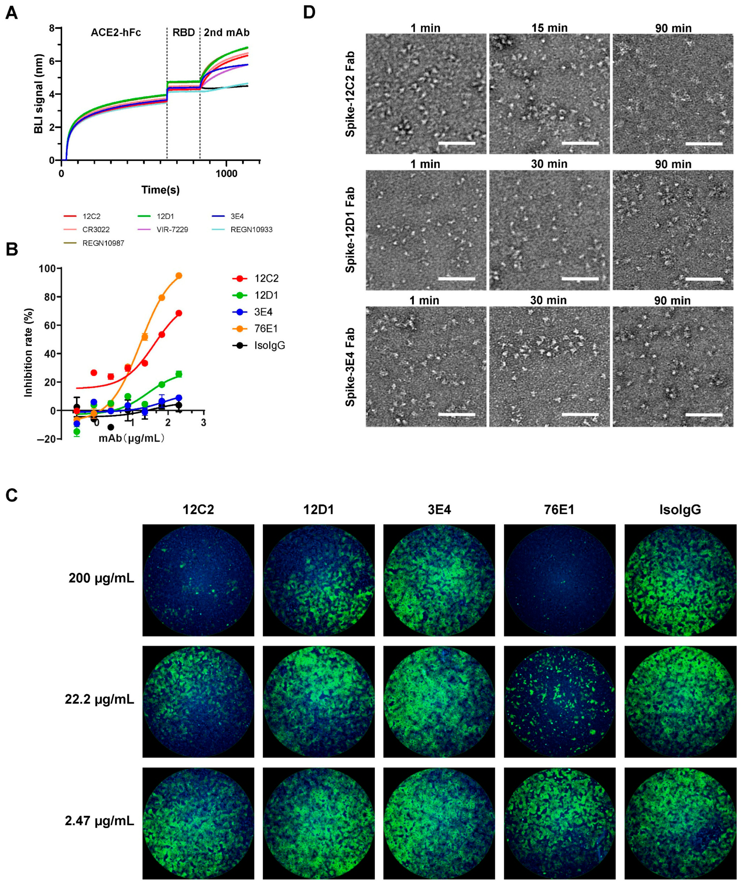 Viruses 17 01285 g004
