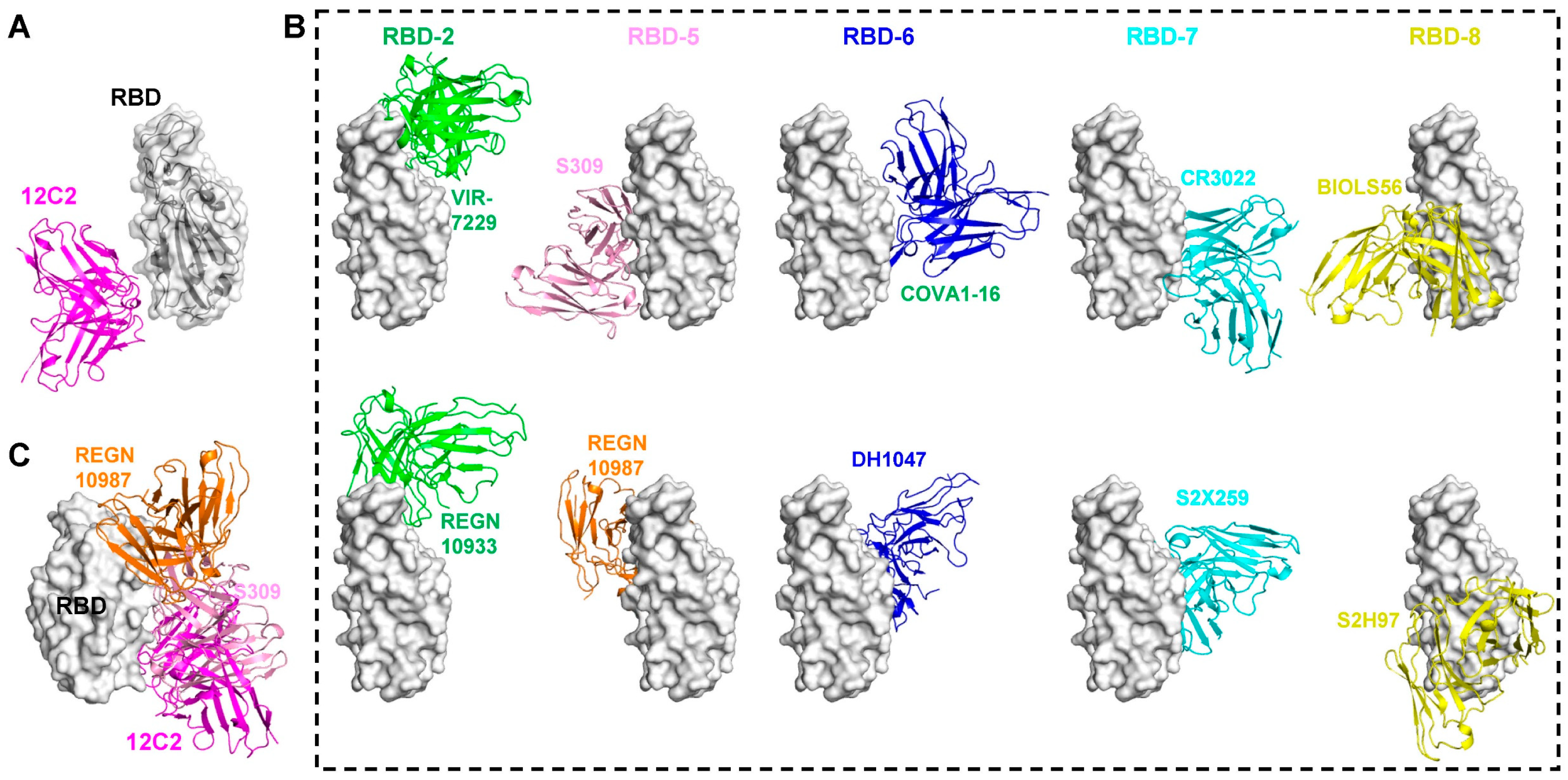 Viruses 17 01285 g006