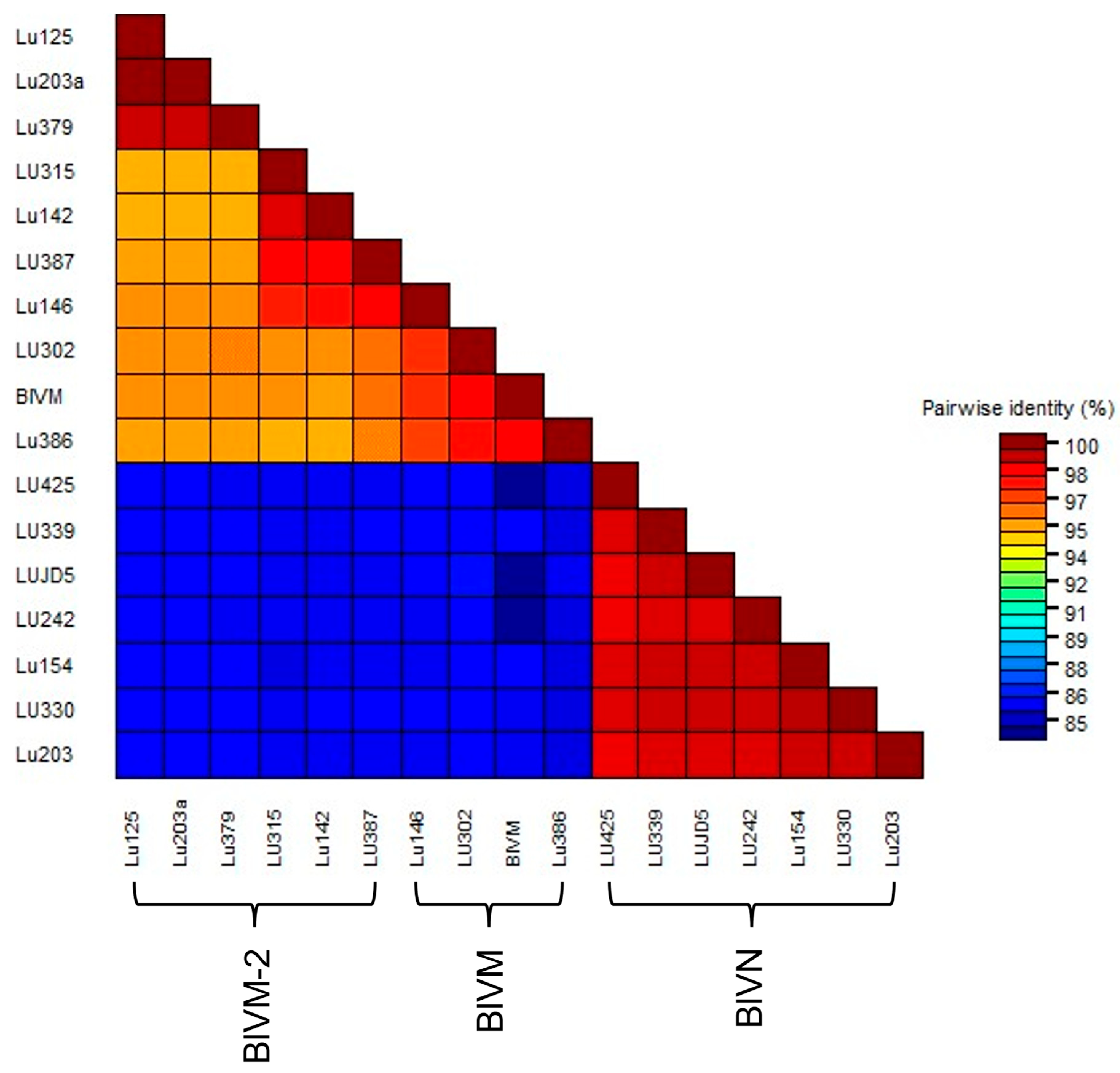 Viruses 17 01286 g003 Viruses 17 01286 g003