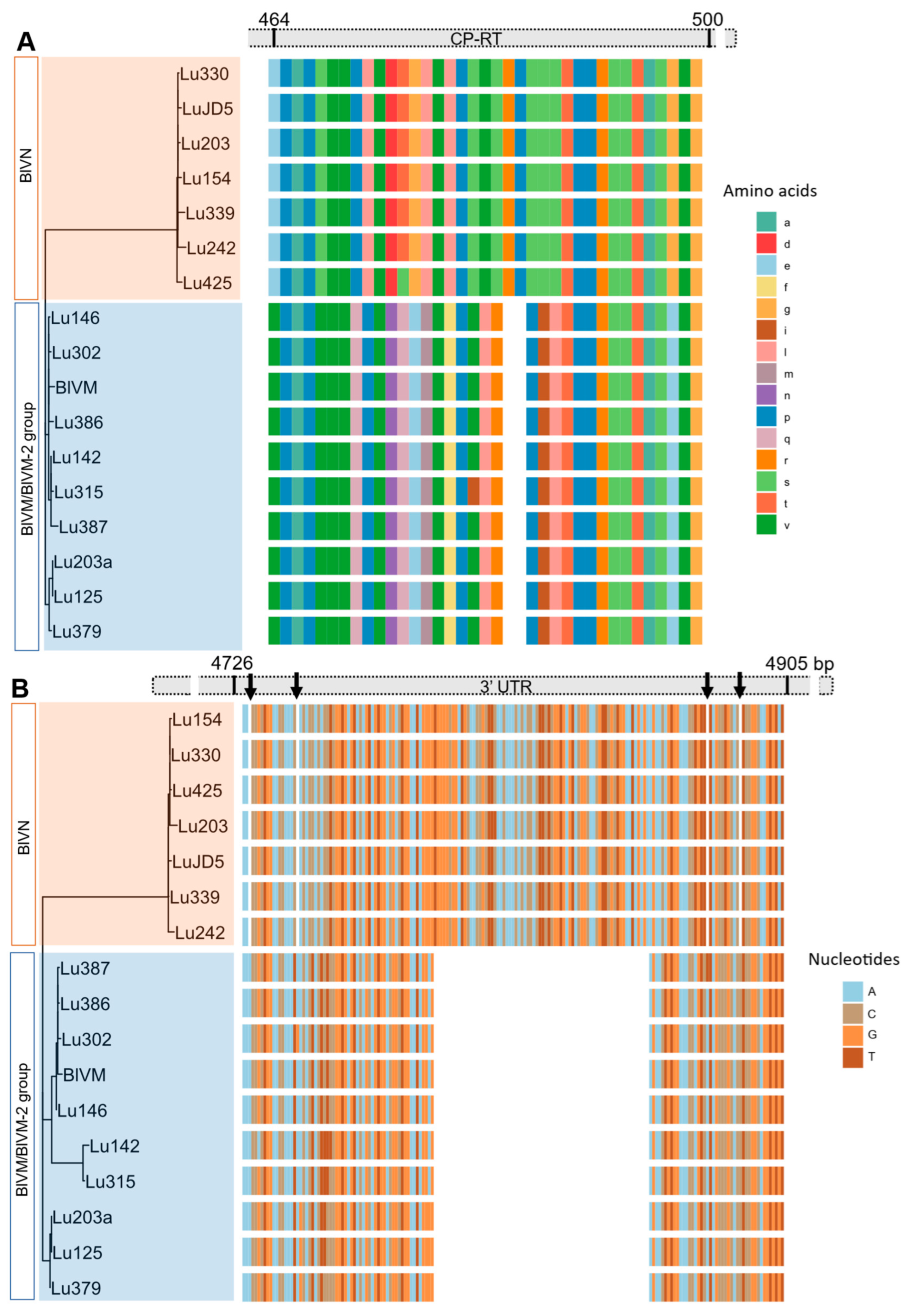 Viruses 17 01286 g004 Viruses 17 01286 g004
