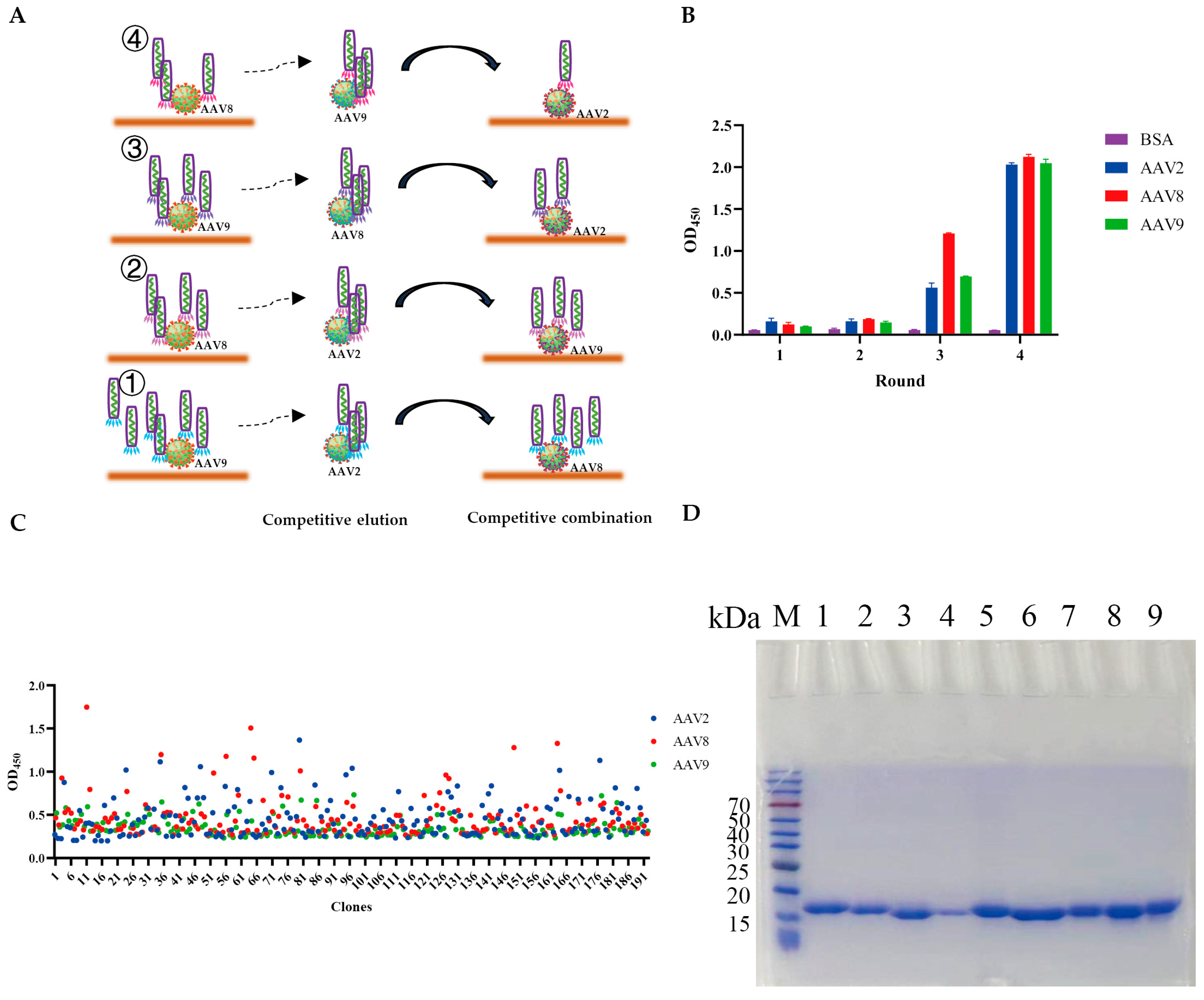 Viruses 17 01289 g001 Viruses 17 01289 g001