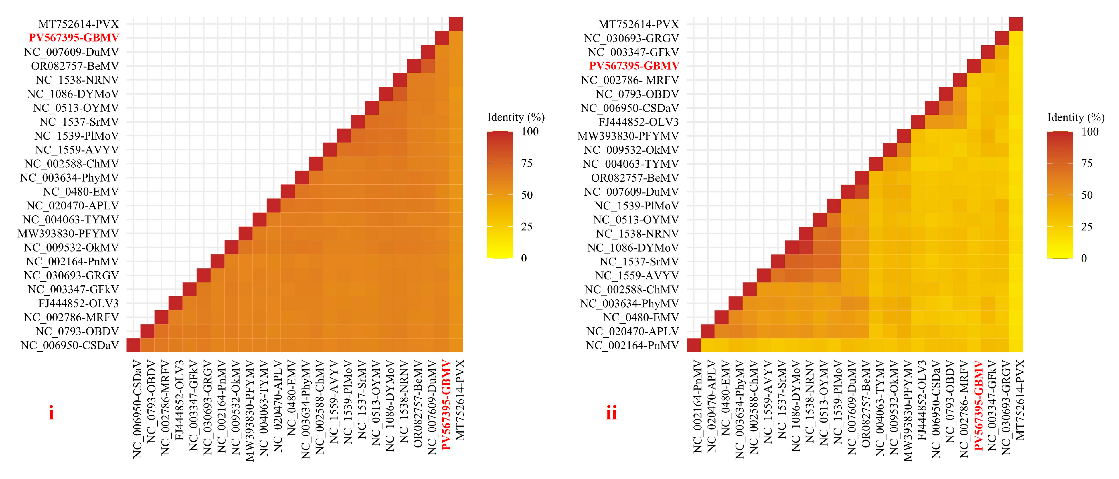 Viruses 17 01290 g002 Viruses 17 01290 g002