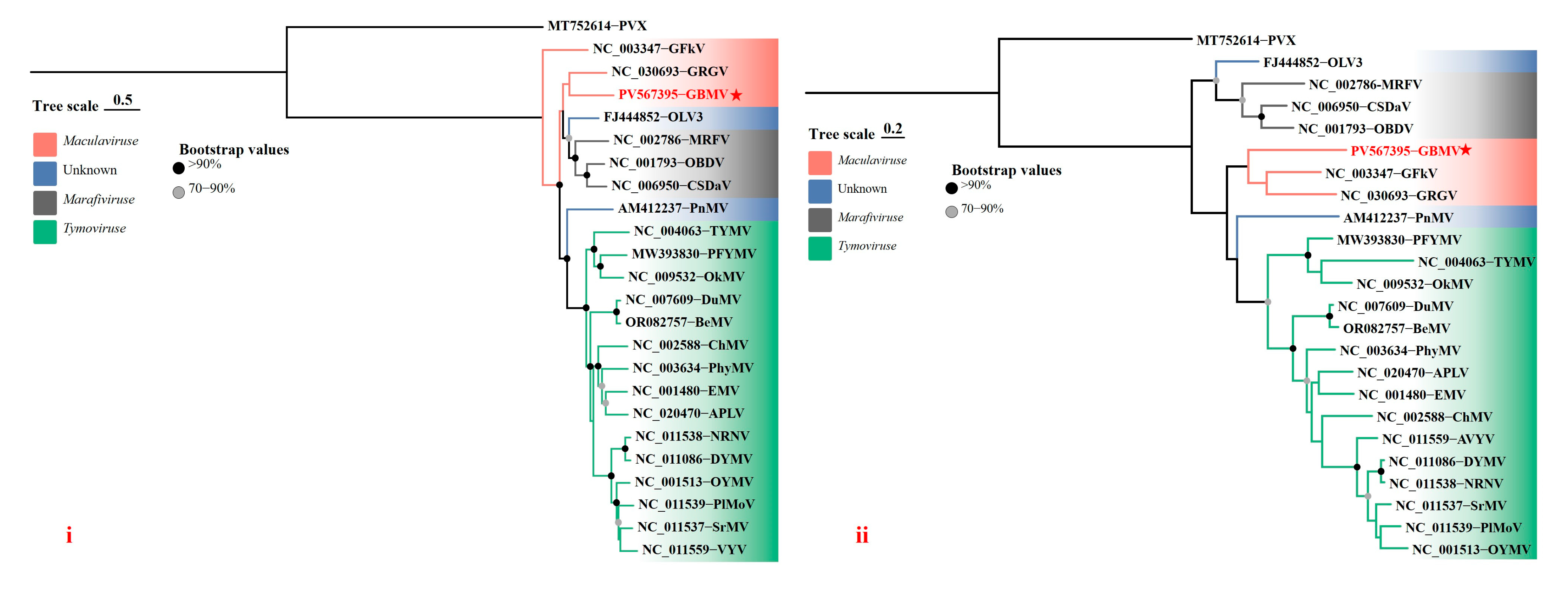 Viruses 17 01290 g004 Viruses 17 01290 g004