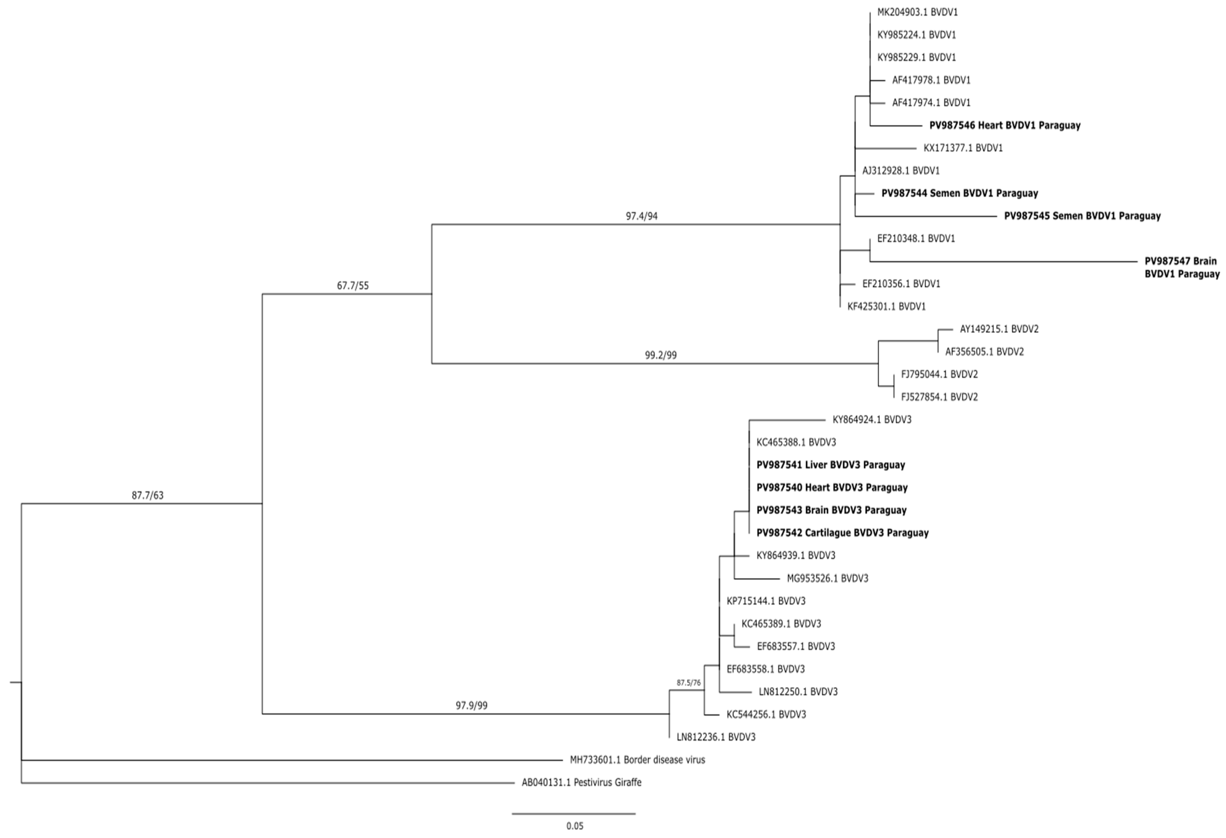 Viruses 17 01295 g002 Viruses 17 01295 g002