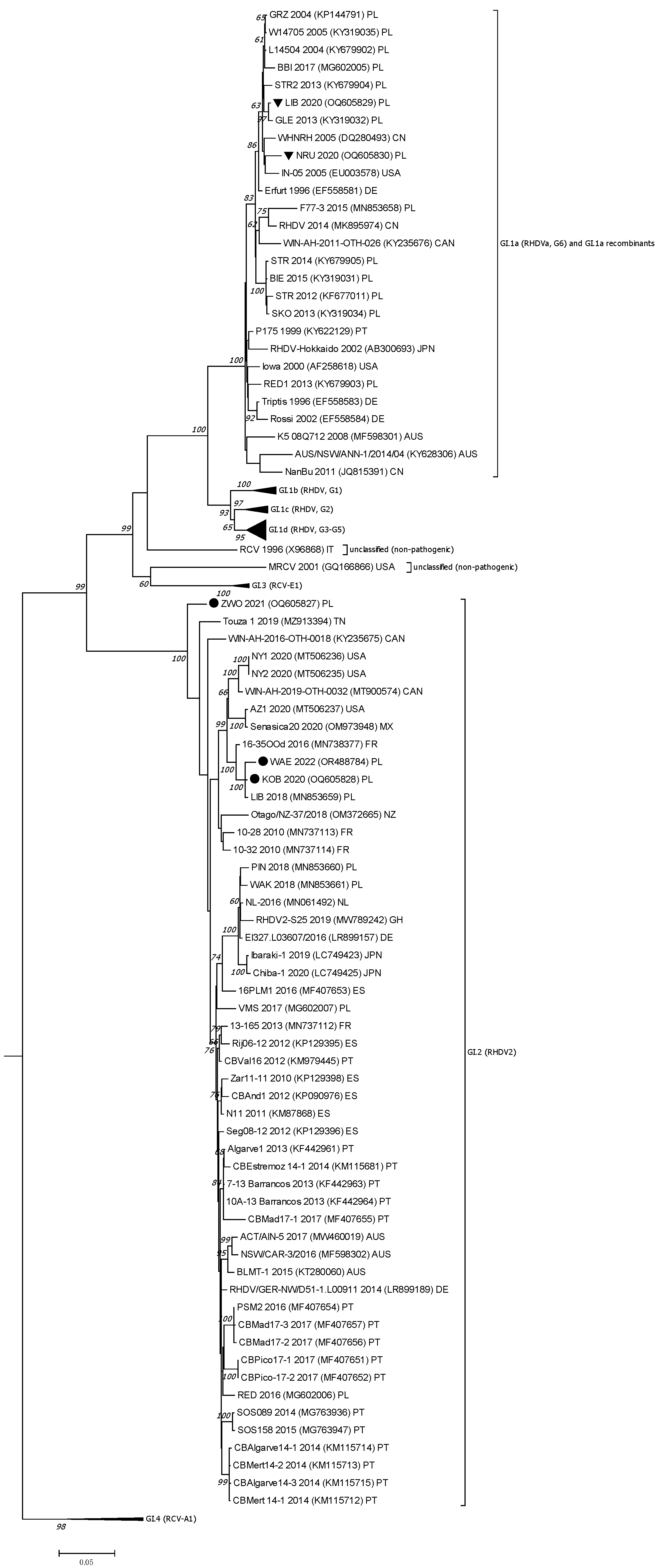 Viruses 17 01305 g002