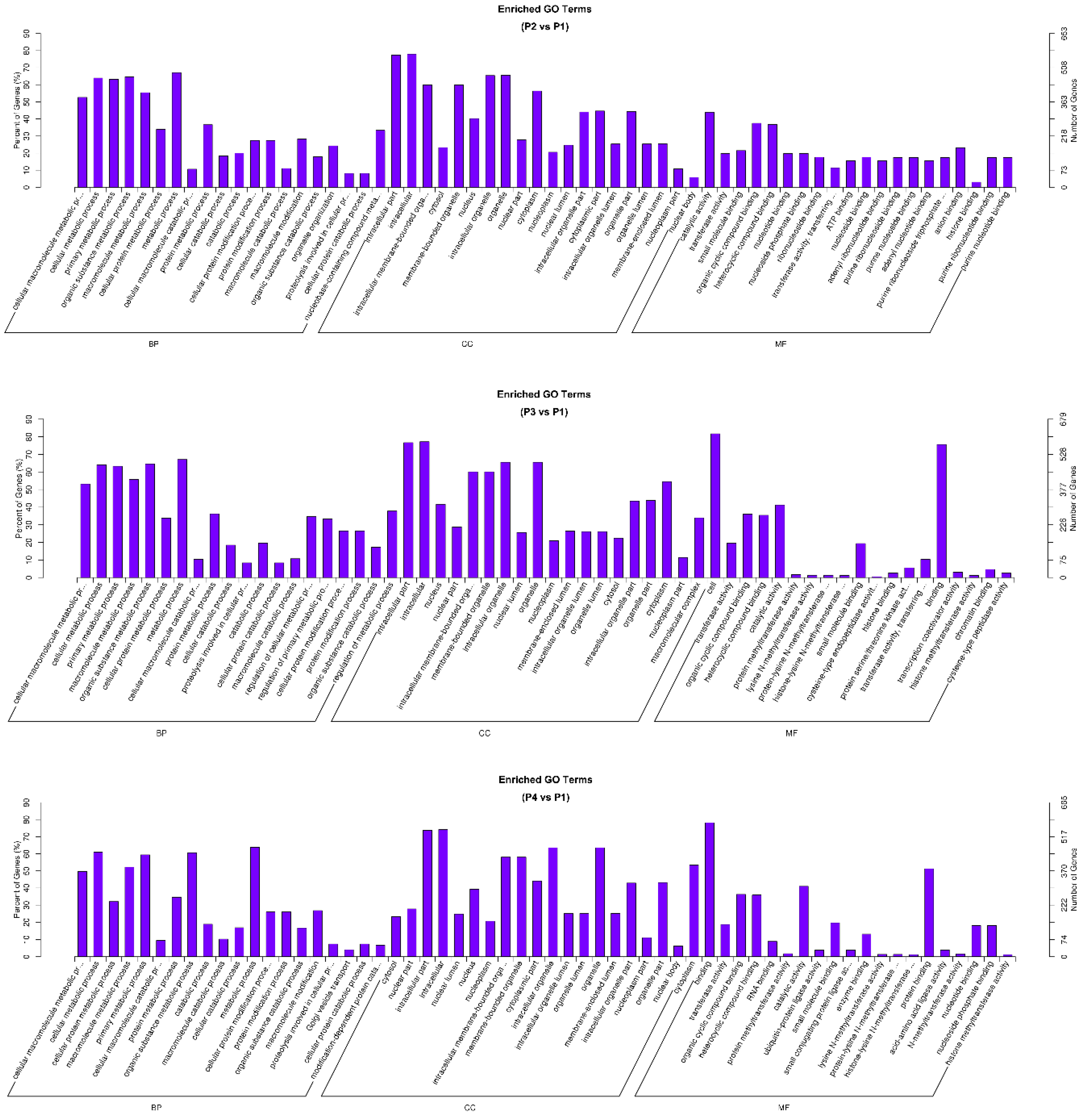 Viruses 17 01307 g006 Viruses 17 01307 g006
