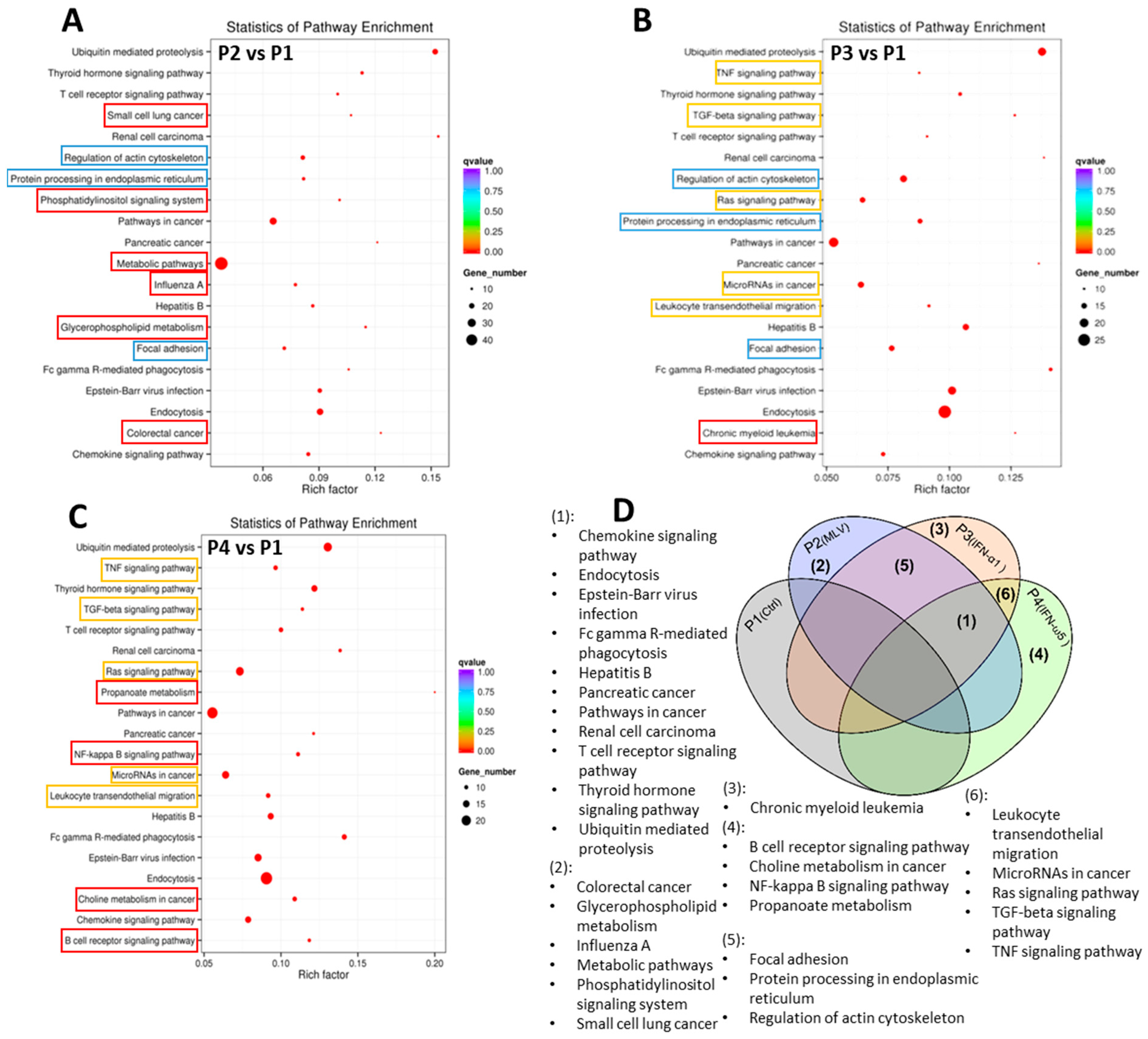 Viruses 17 01307 g007 Viruses 17 01307 g007