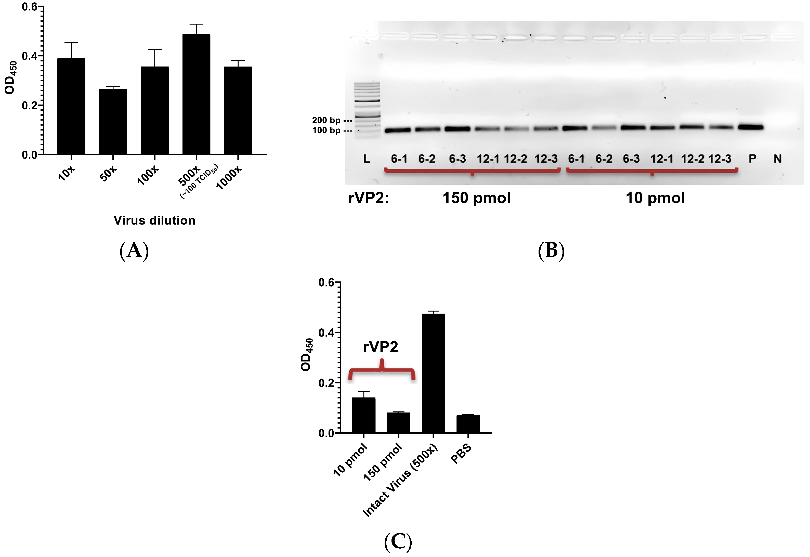 Viruses 17 01309 g001 Viruses 17 01309 g001