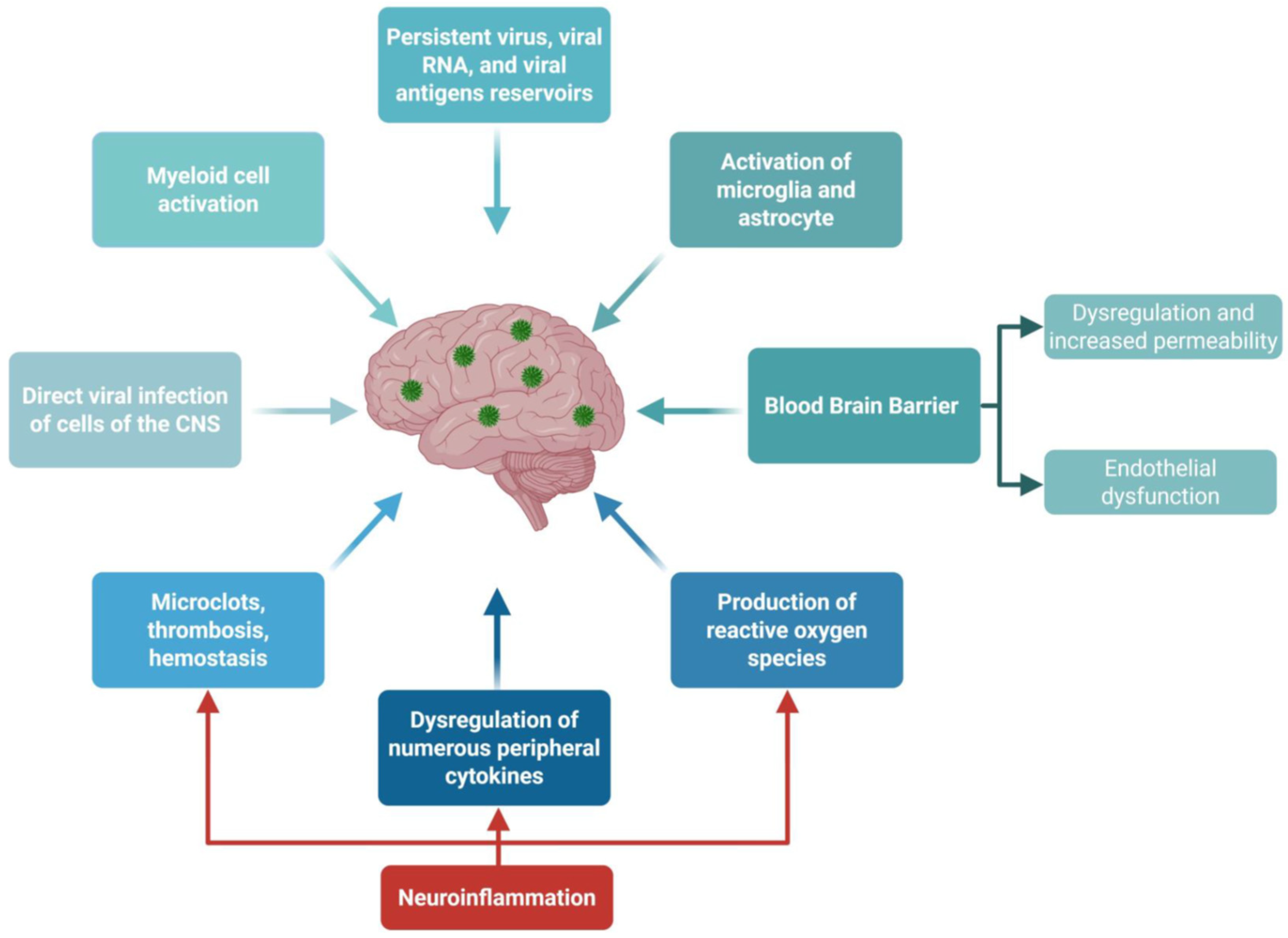 Viruses 17 01310 g004