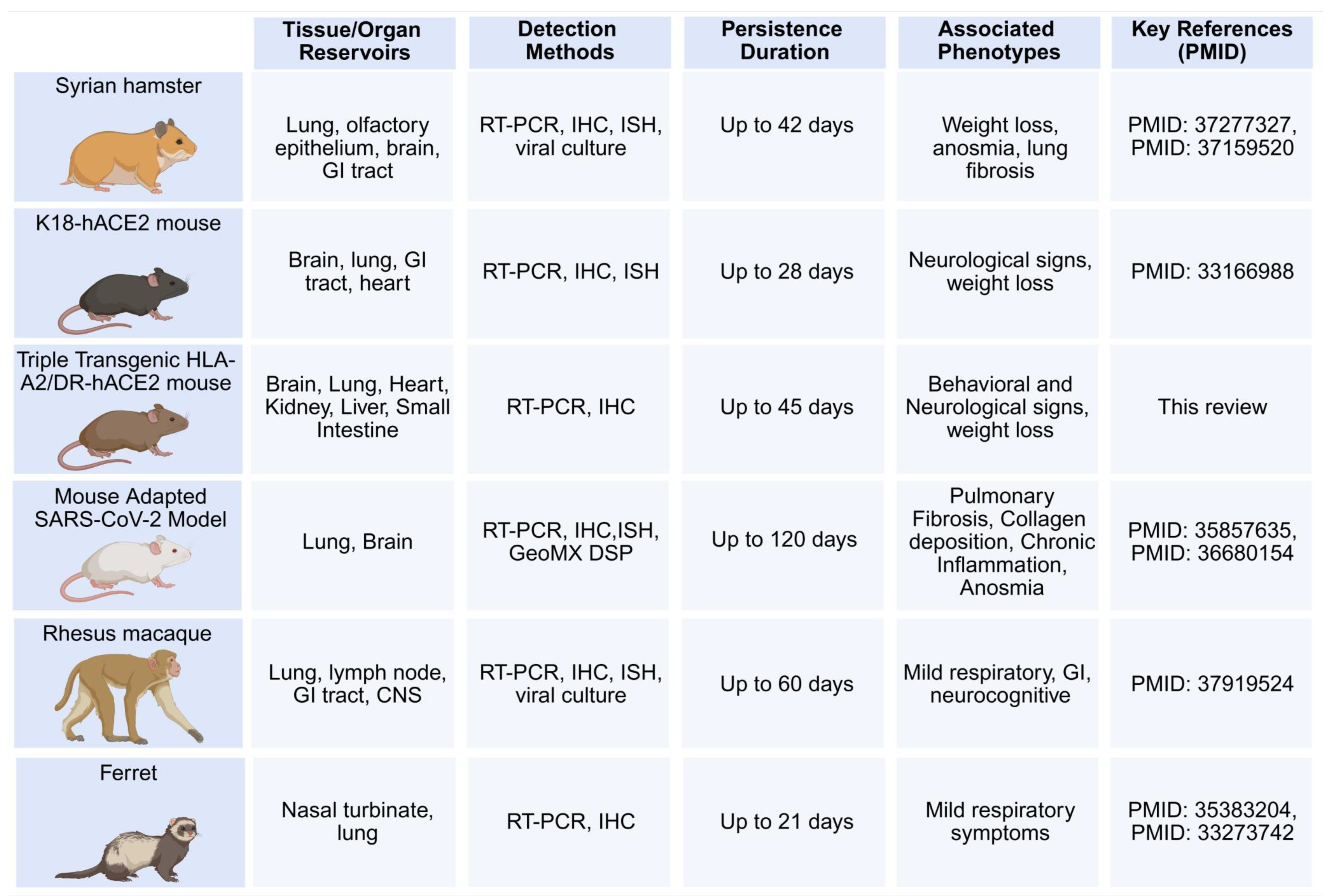 Viruses 17 01310 g005