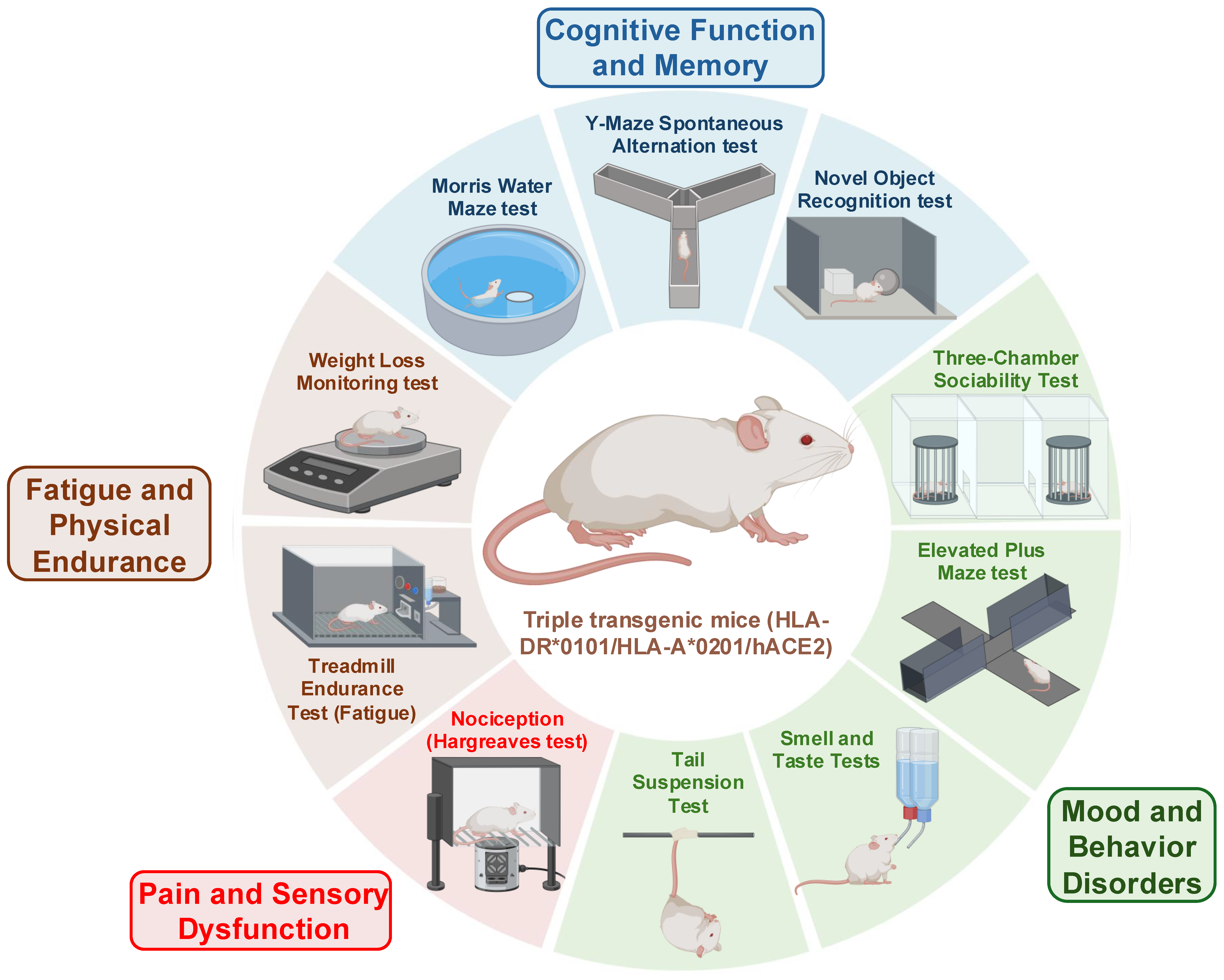 Viruses 17 01310 g007