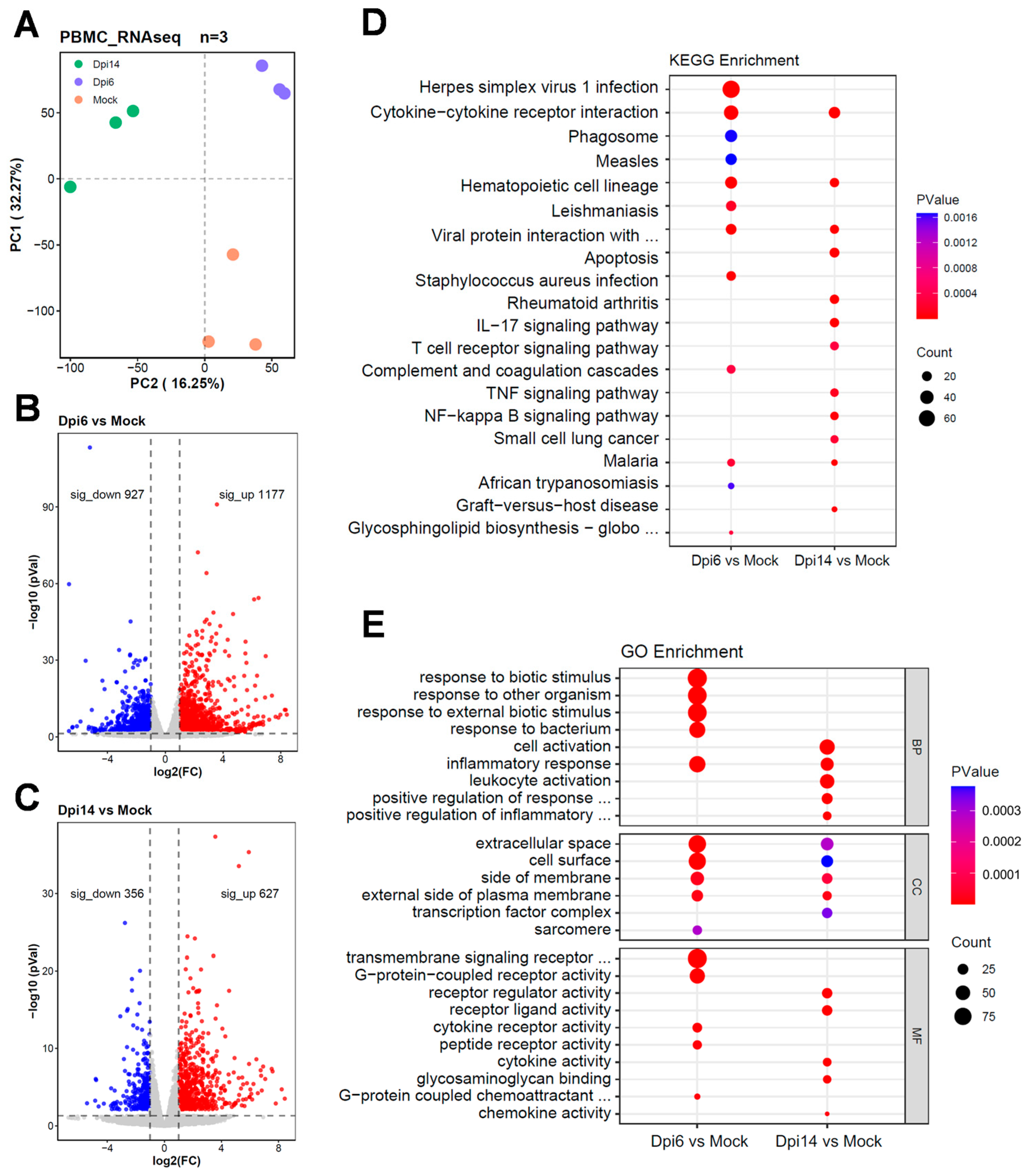 Viruses 17 01317 g002