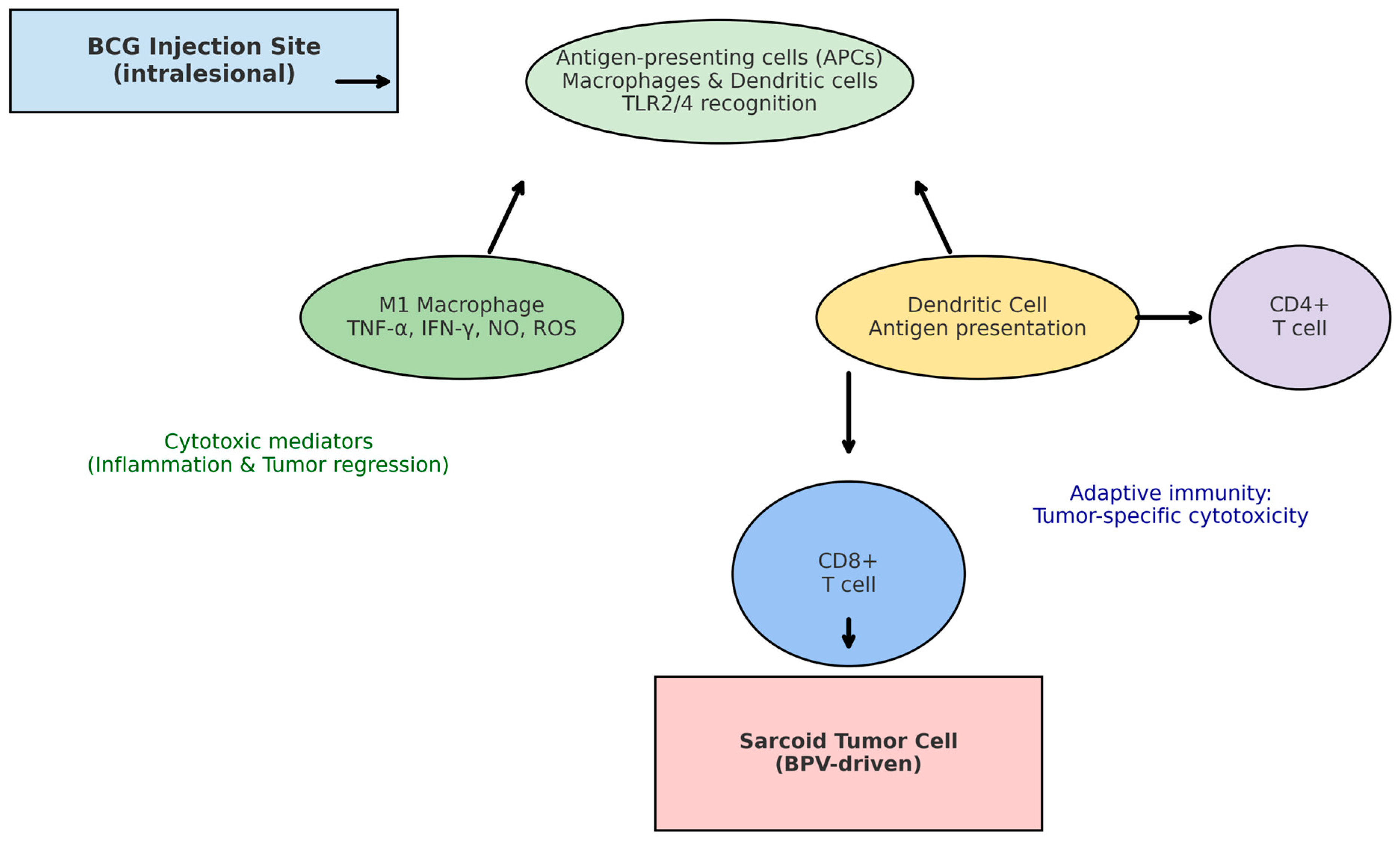 Viruses 17 01322 g002