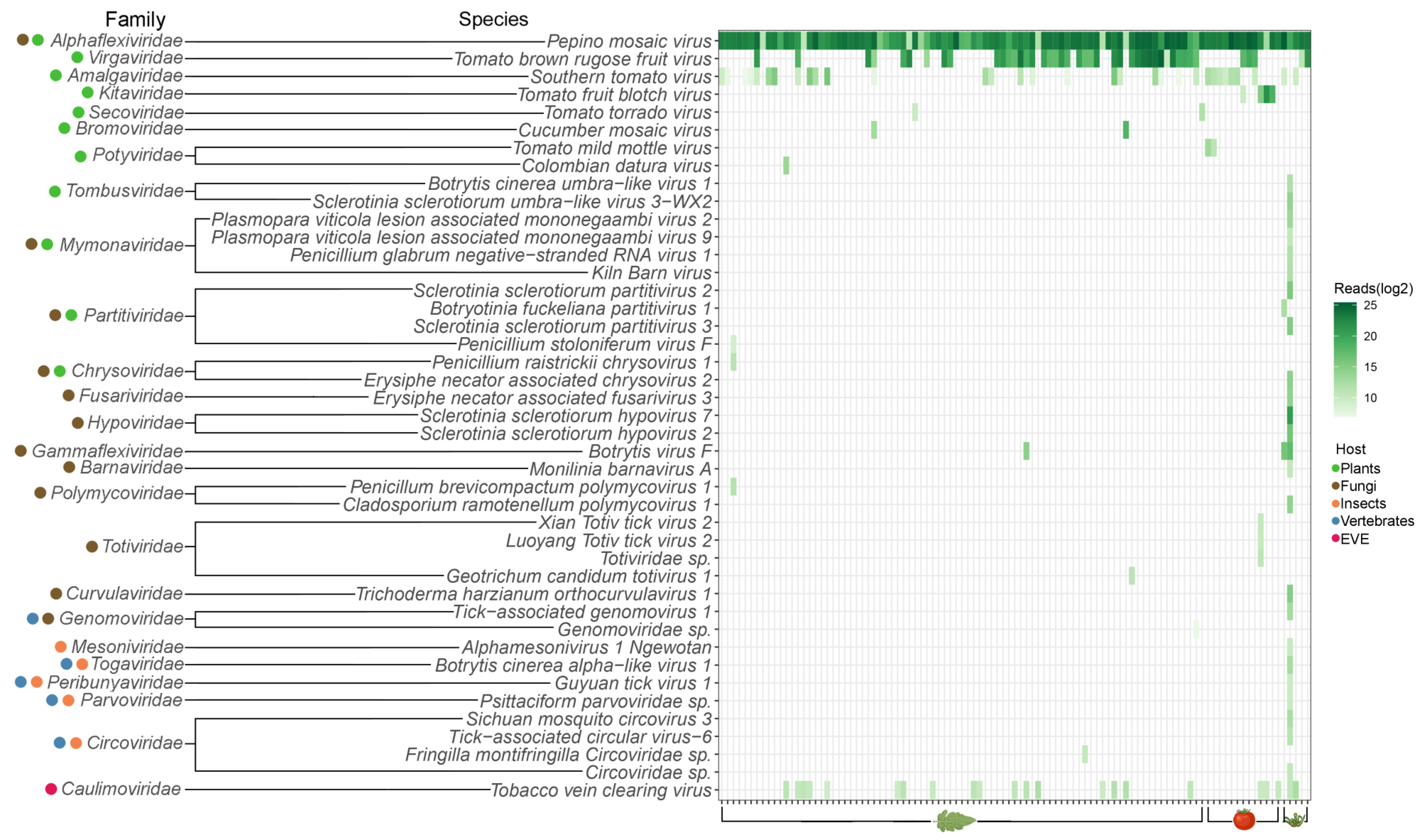 Viruses 17 01334 g003 Viruses 17 01334 g003