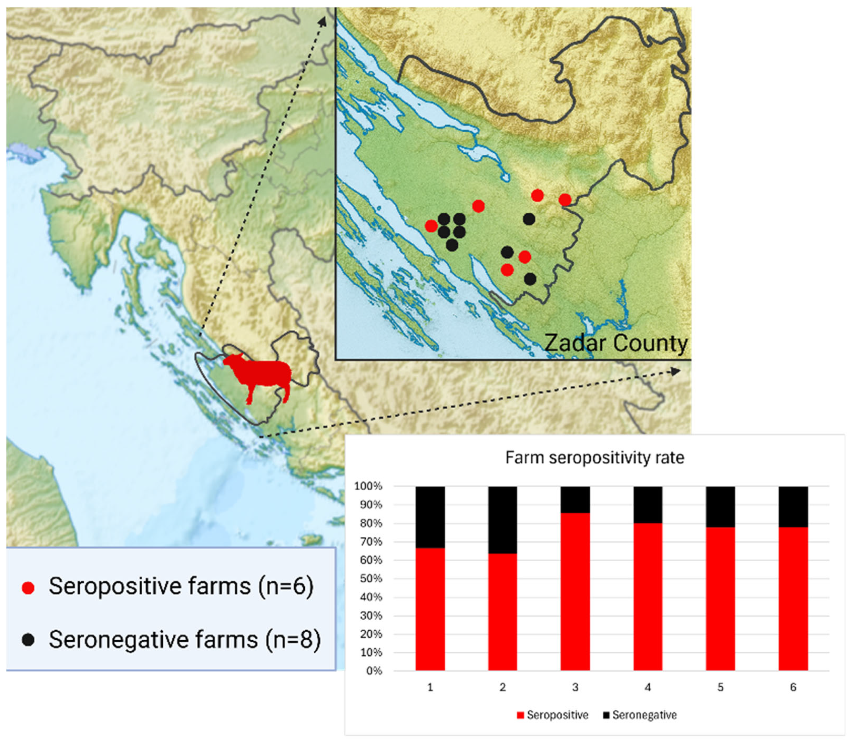 Viruses 17 01335 g003 Viruses 17 01335 g003