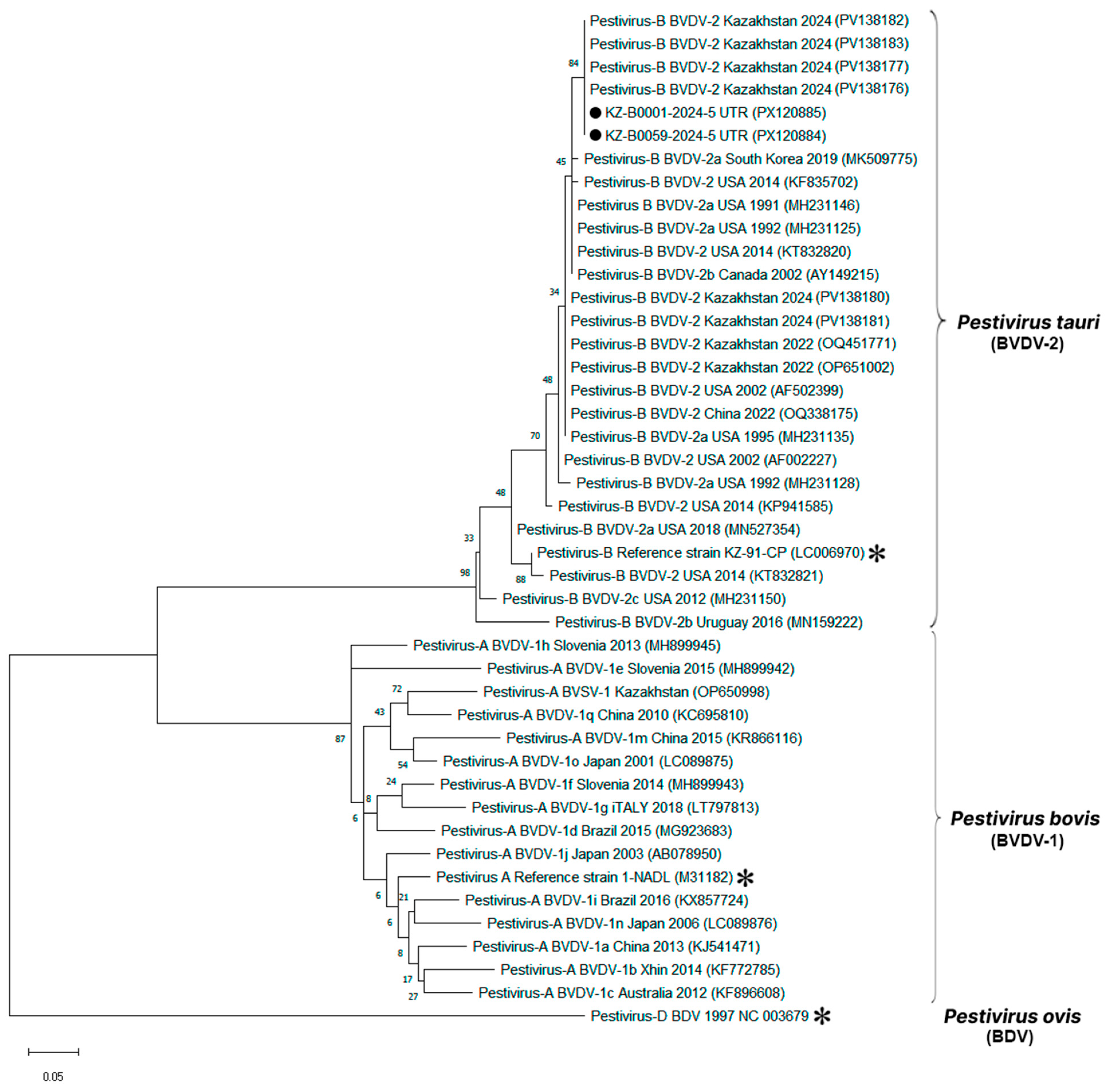 Viruses 17 01341 g004