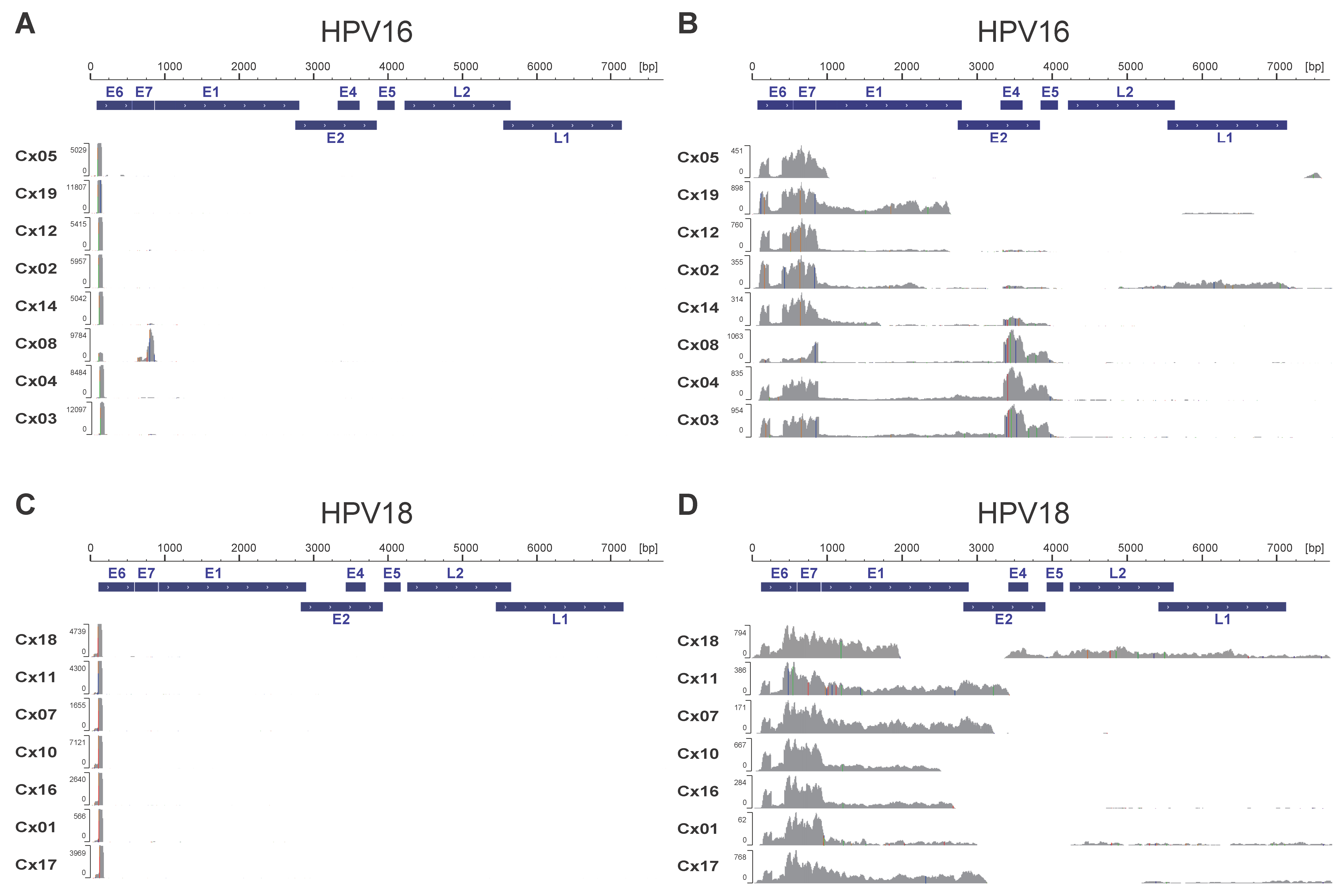 Viruses 17 01344 g001 Viruses 17 01344 g001