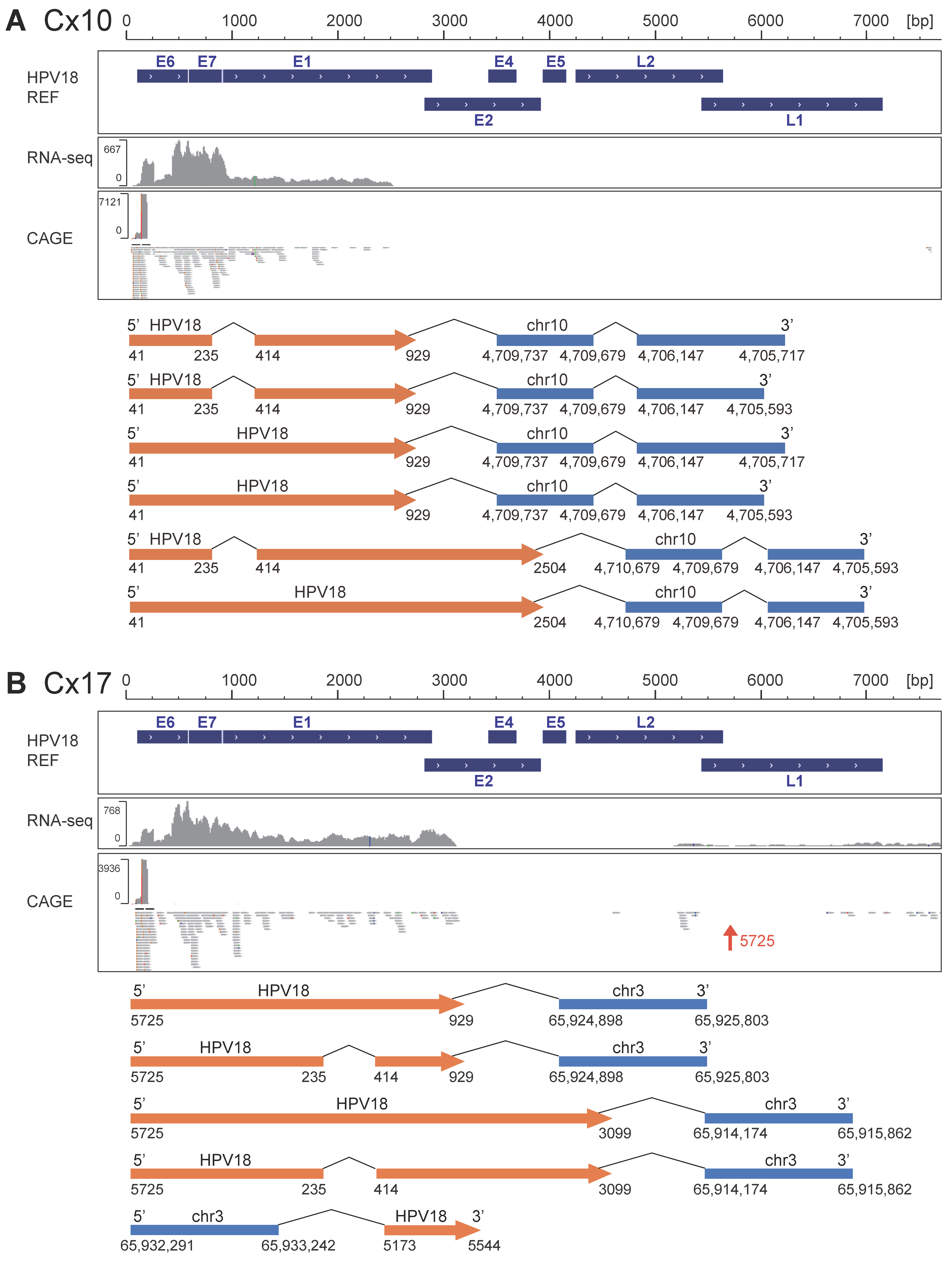 Viruses 17 01344 g002 Viruses 17 01344 g002