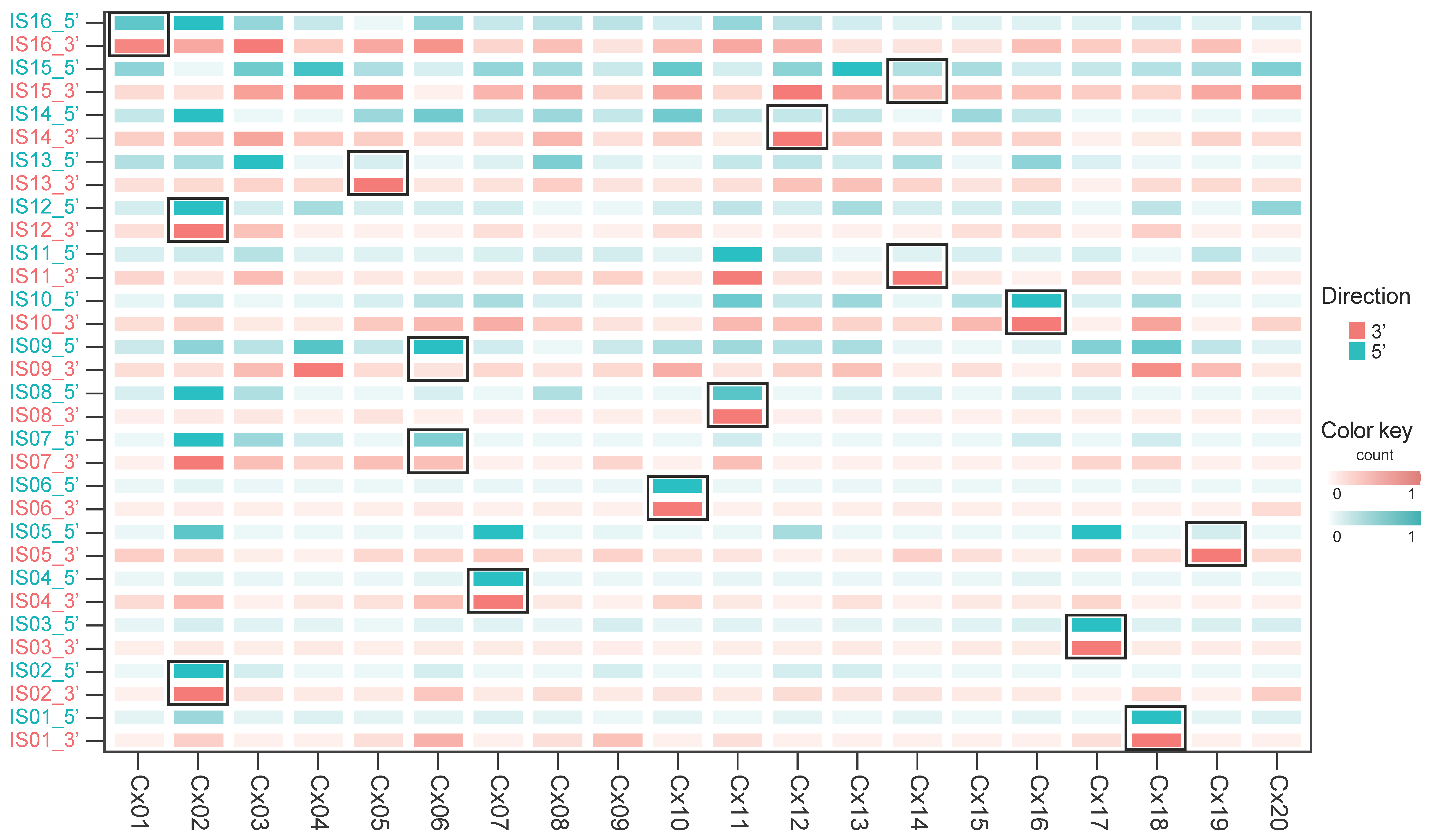 Viruses 17 01344 g003 Viruses 17 01344 g003