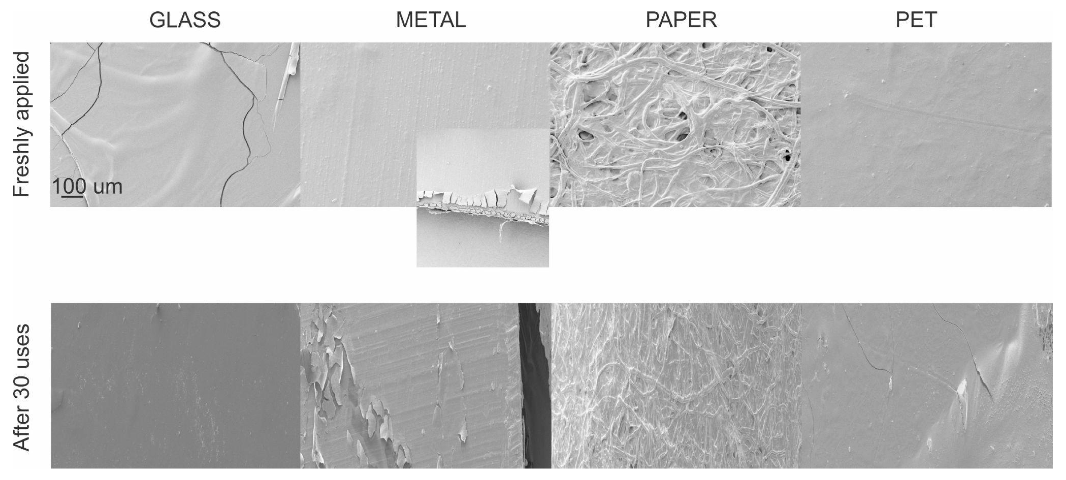 Viruses 17 01347 g001 Viruses 17 01347 g001