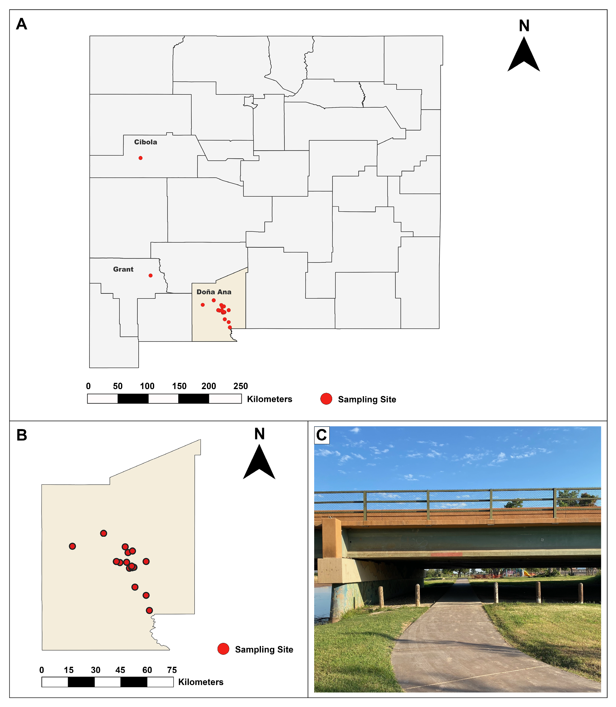 Viruses 17 01349 g001 Viruses 17 01349 g001