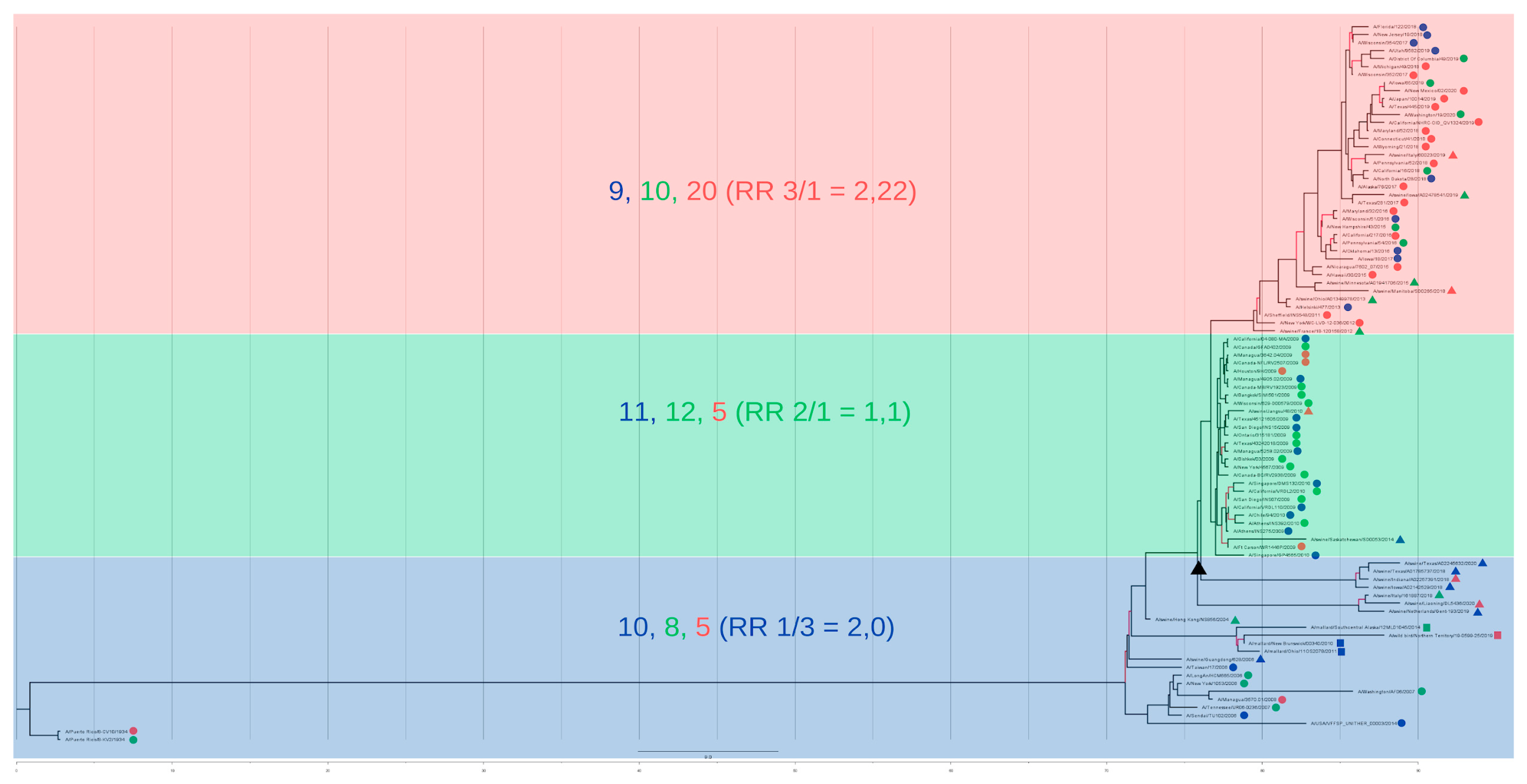Viruses 17 01350 g008
