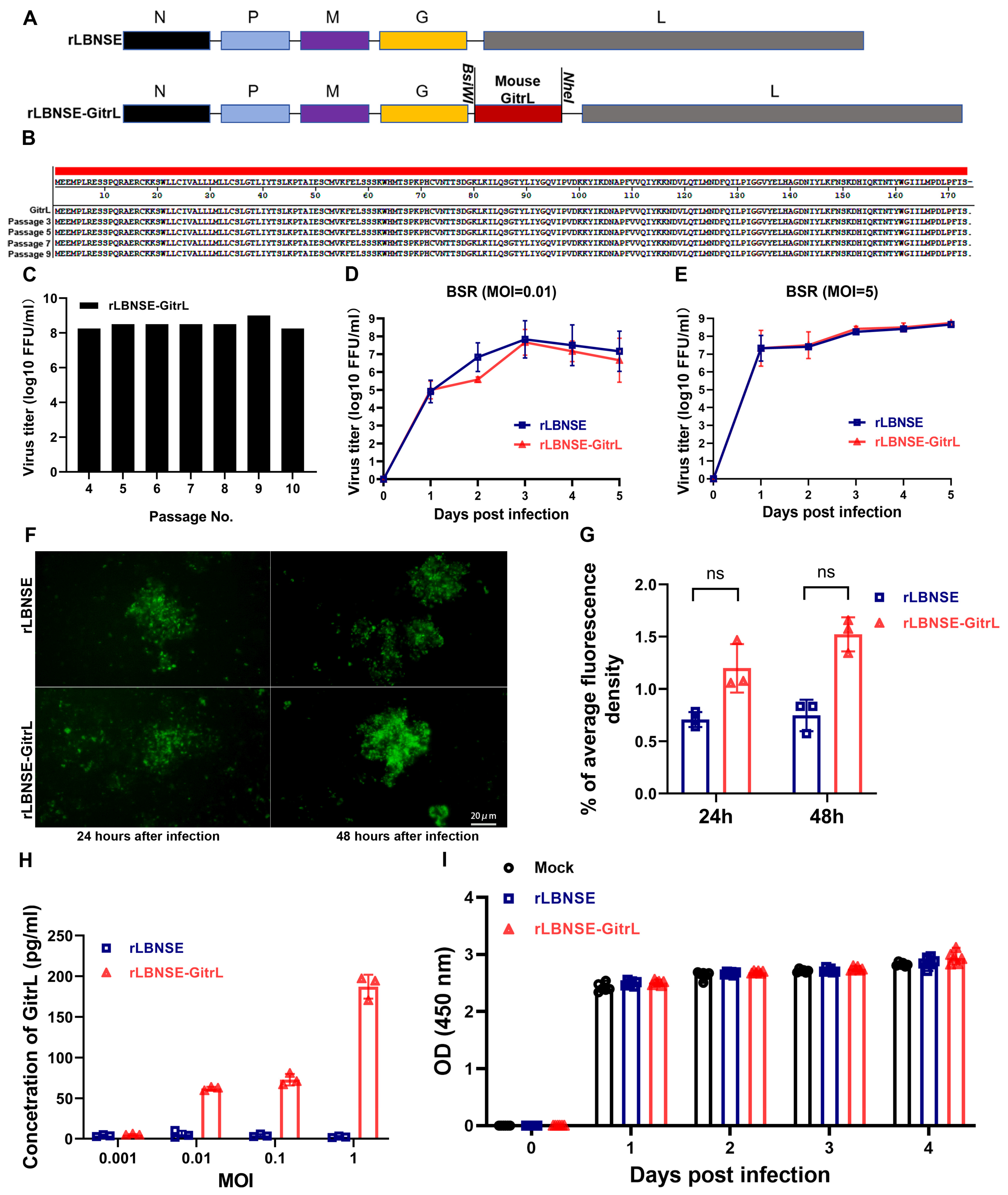 Viruses 17 01354 g001 Viruses 17 01354 g001