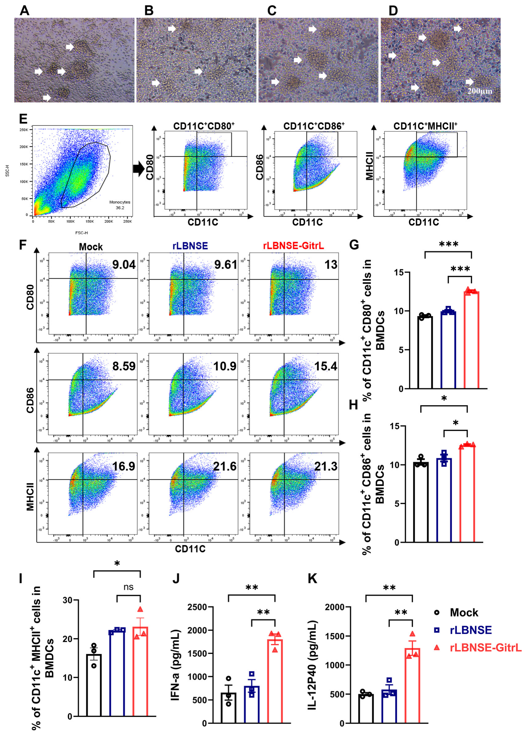 Viruses 17 01354 g003 Viruses 17 01354 g003