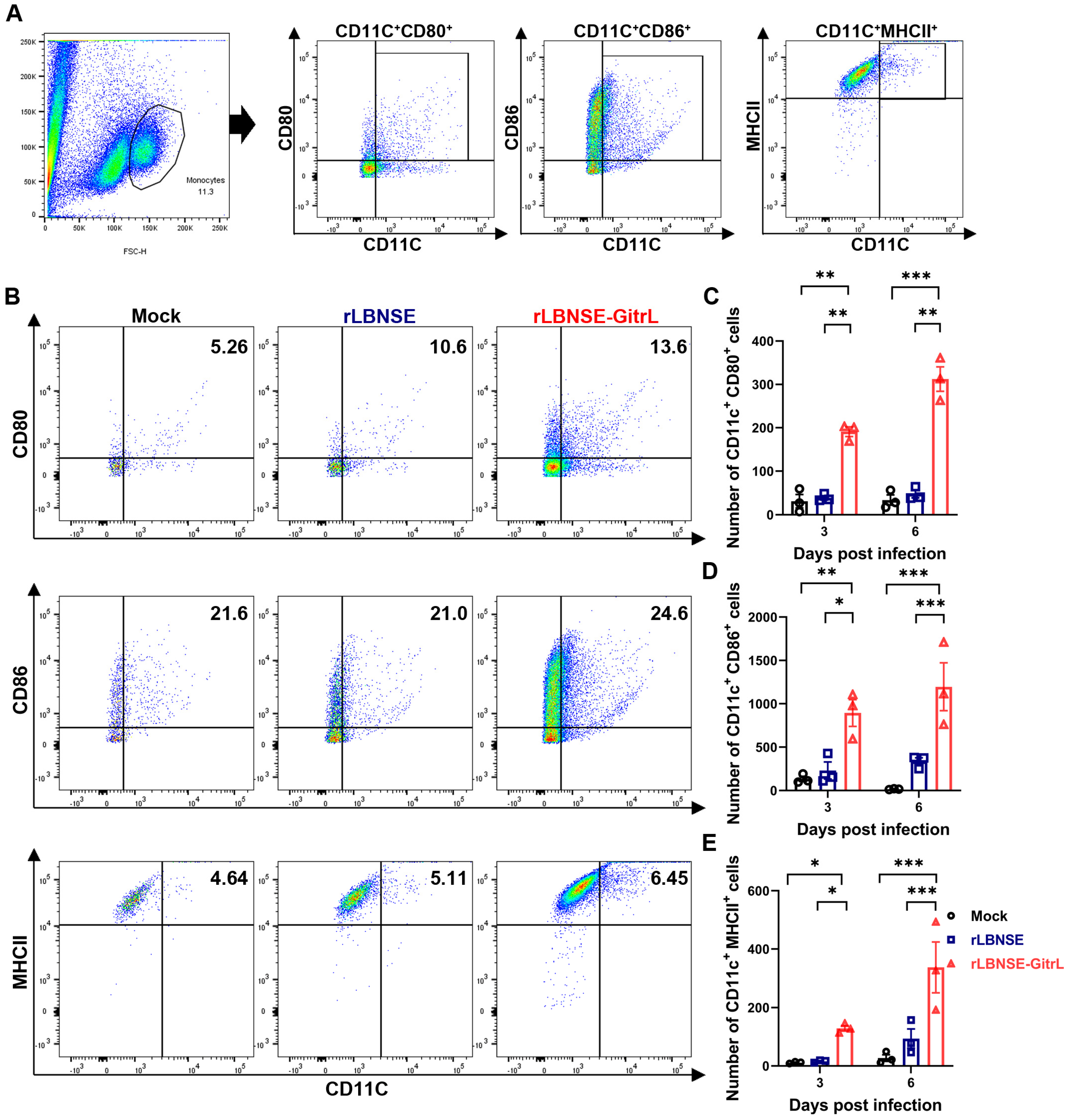 Viruses 17 01354 g004 Viruses 17 01354 g004