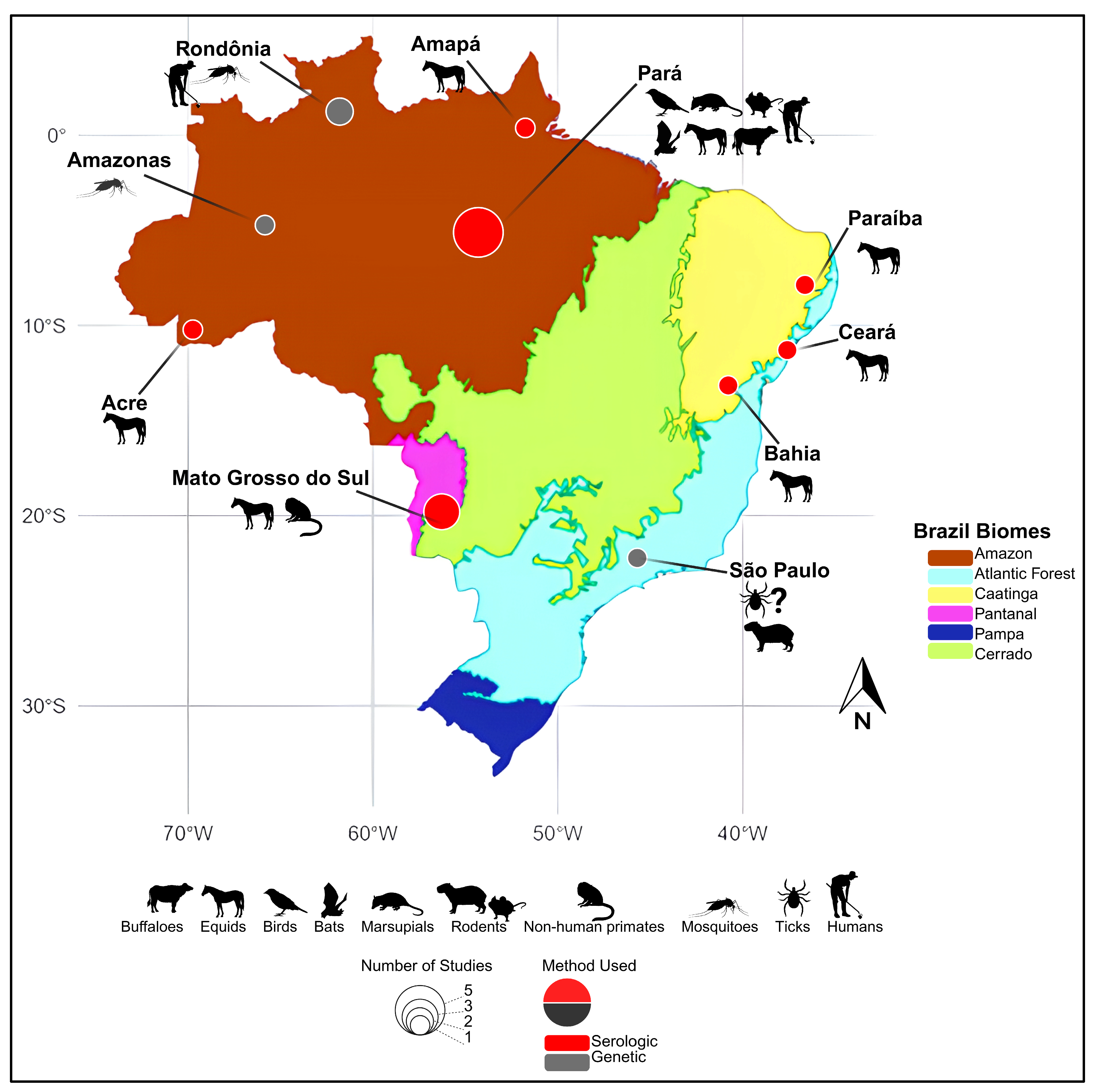 Viruses 17 01355 g001