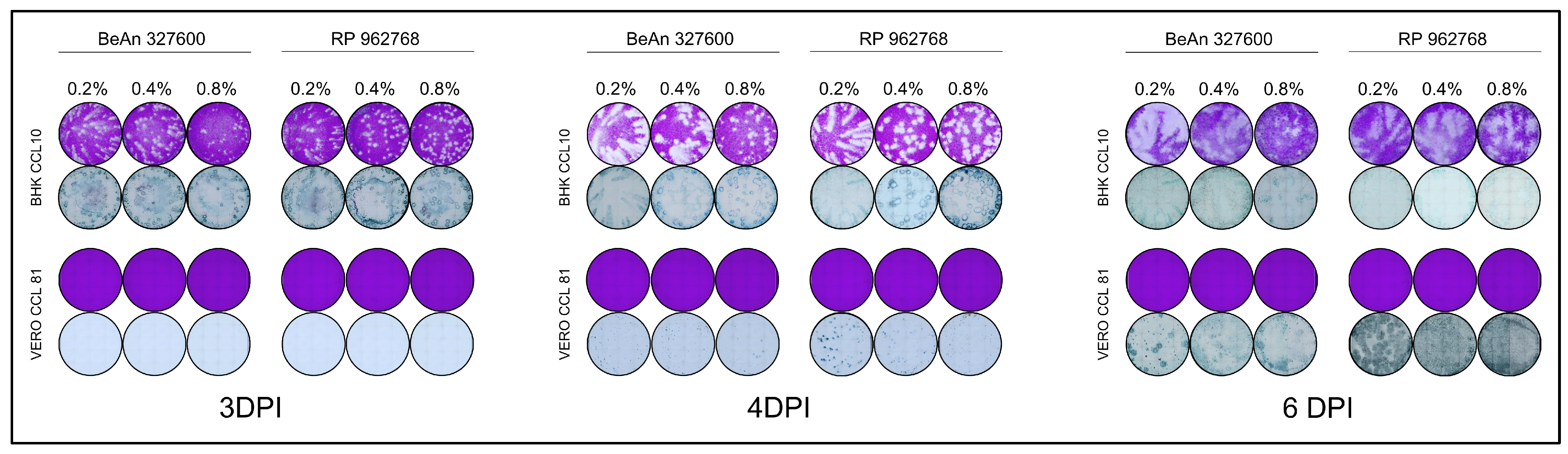 Viruses 17 01355 g002