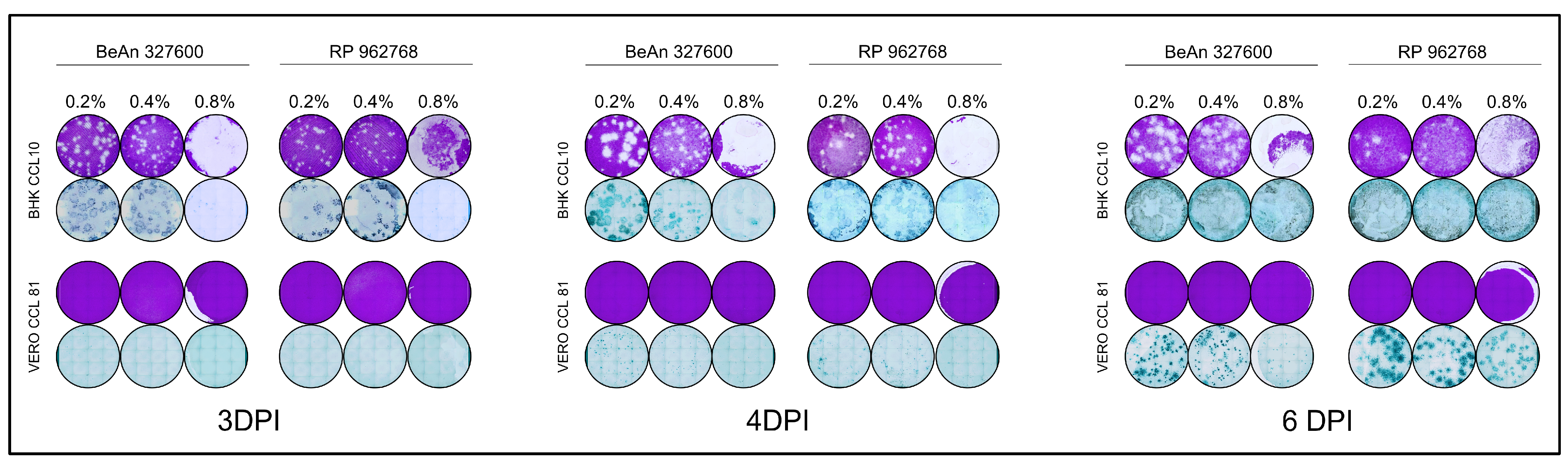 Viruses 17 01355 g003