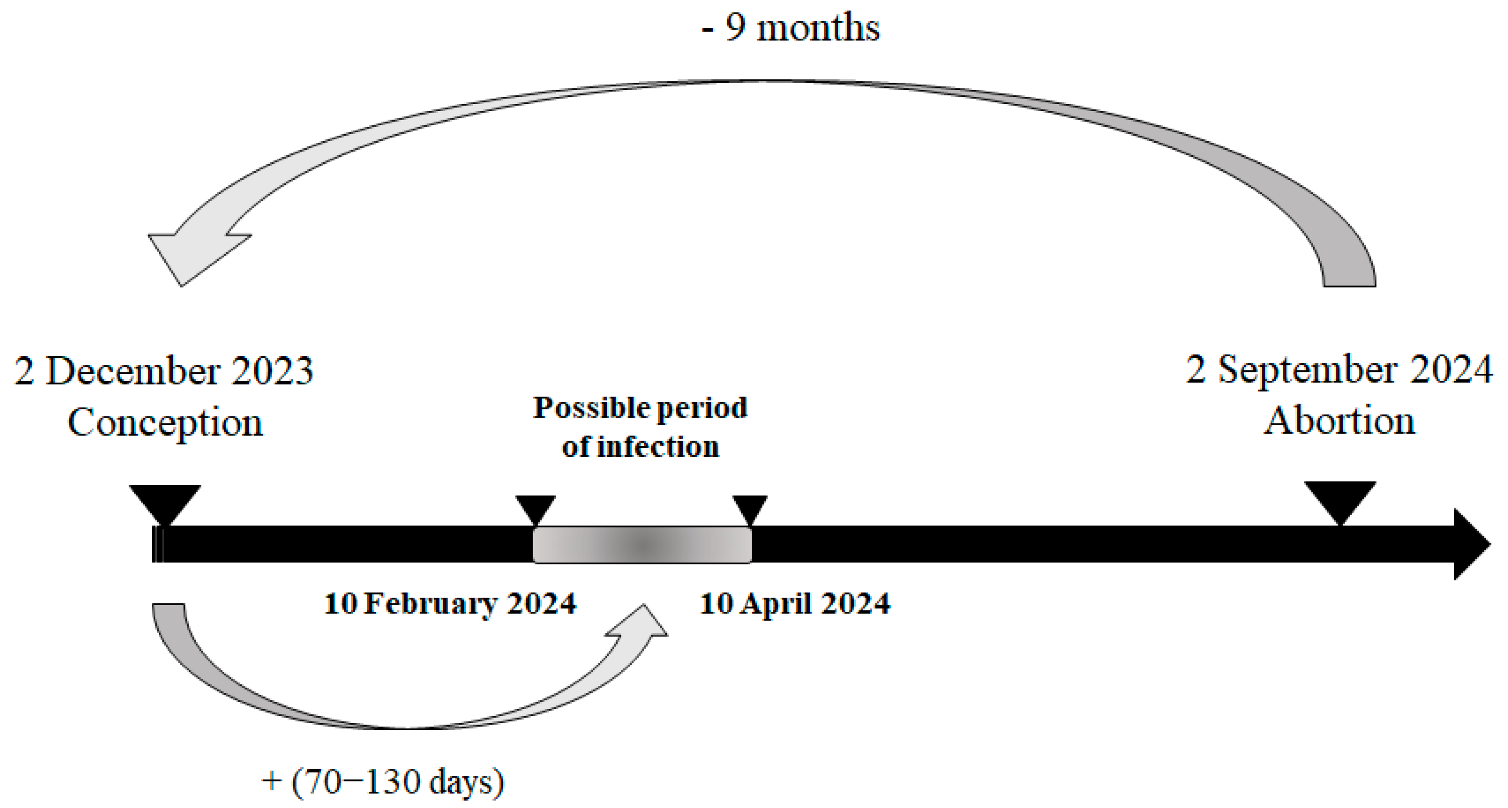 Viruses 17 01356 g004 Viruses 17 01356 g004