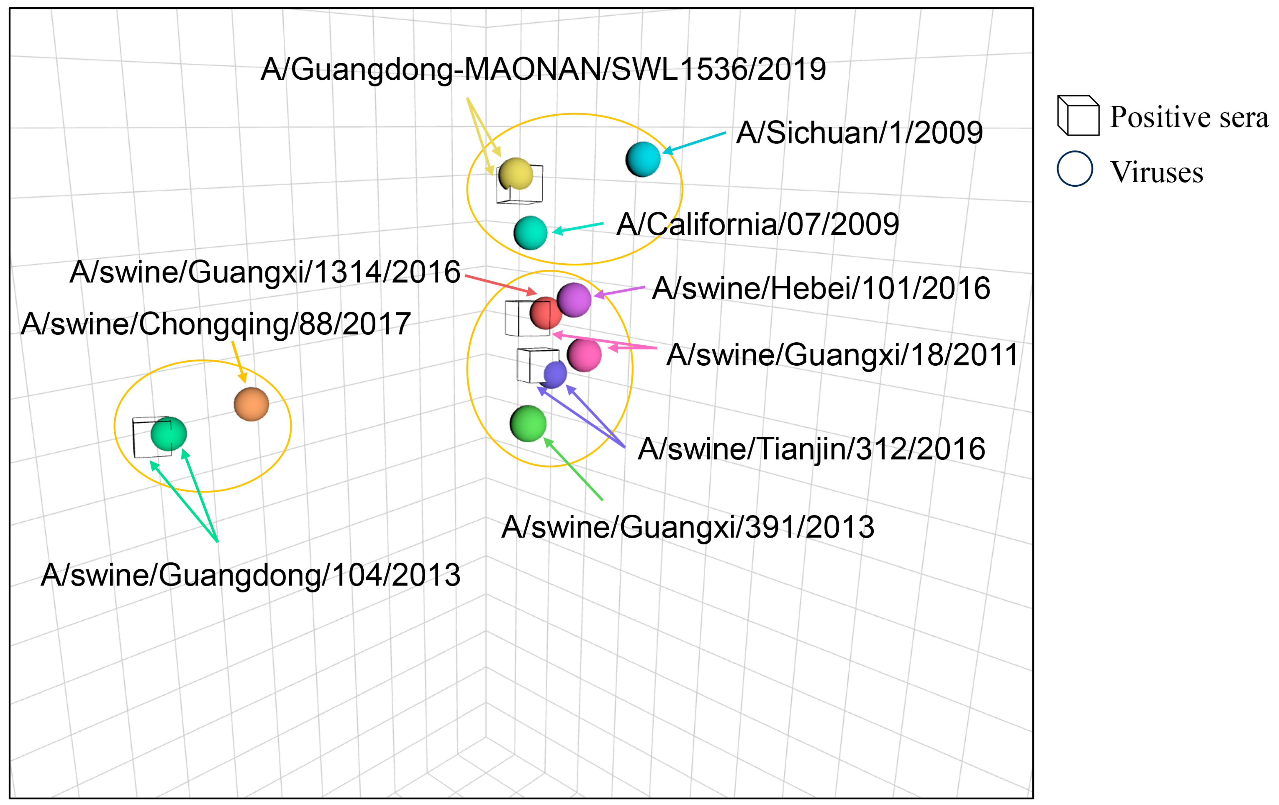 Viruses 17 01360 g001
