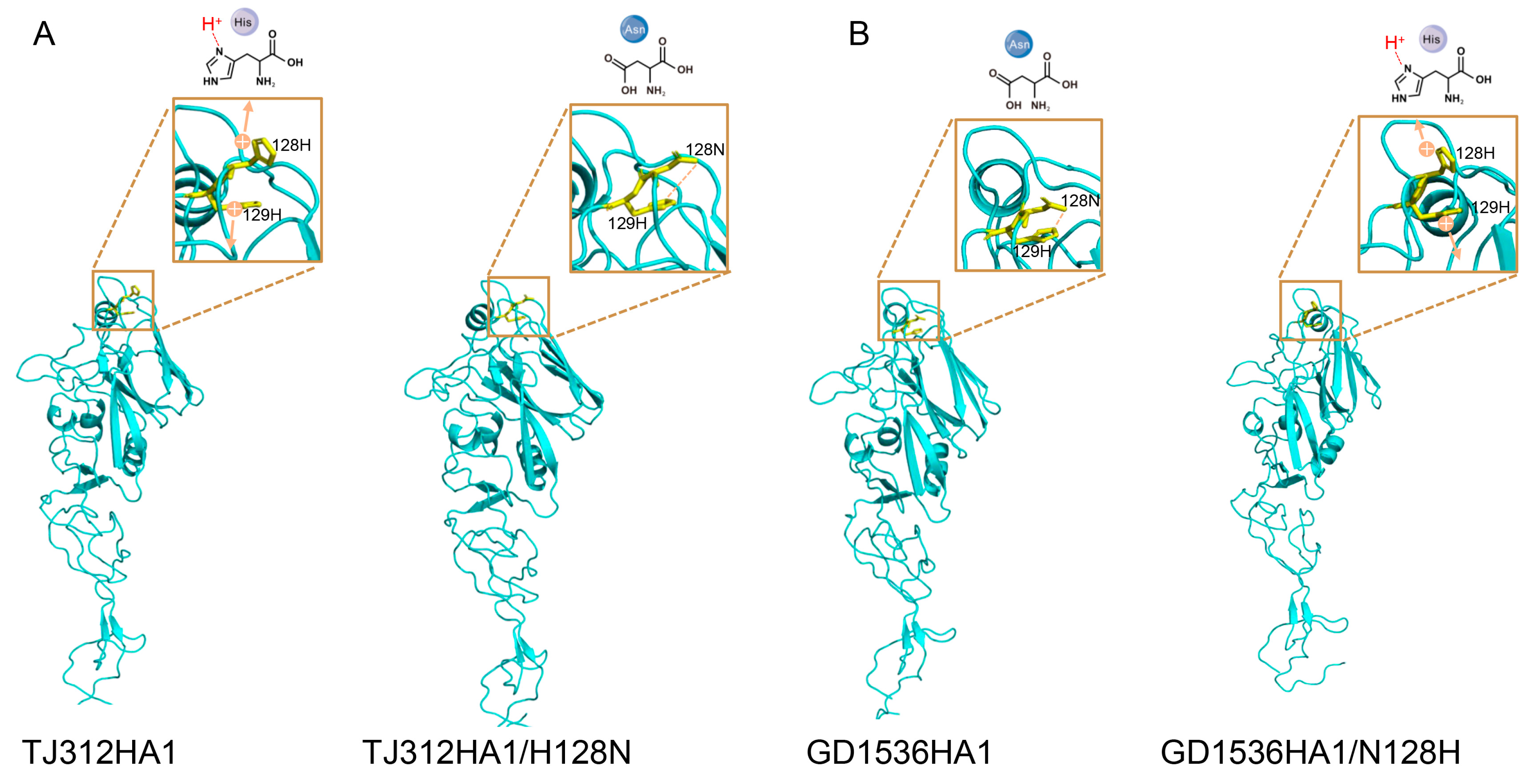 Viruses 17 01360 g005