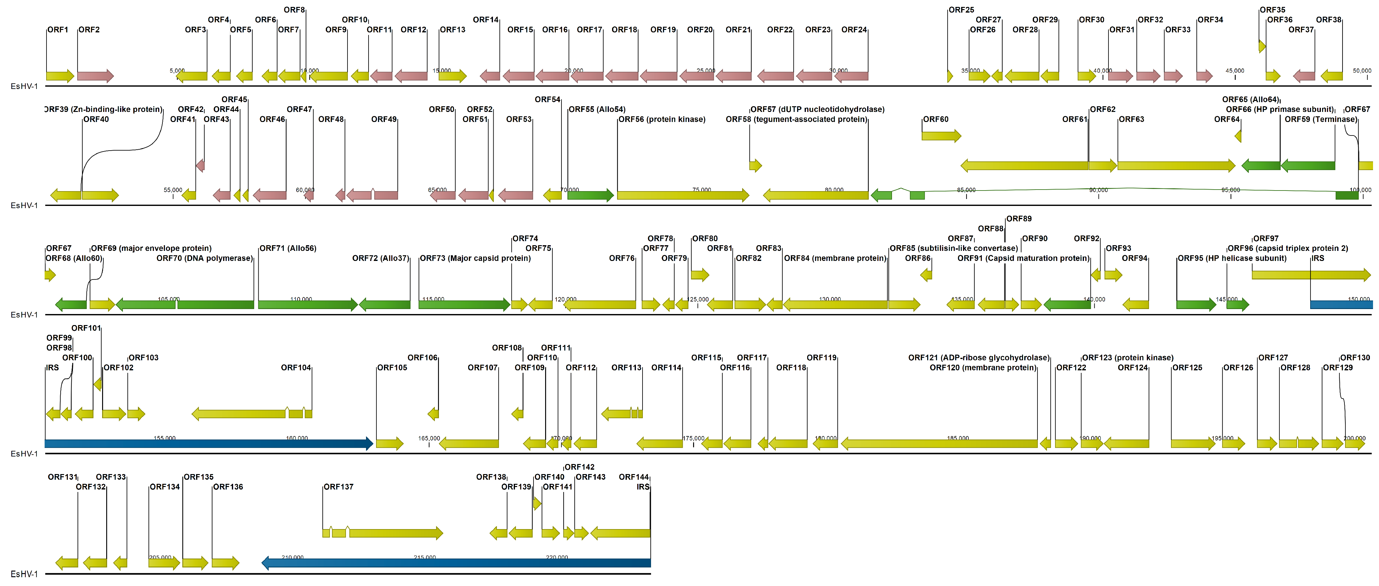 Viruses 17 01361 g001