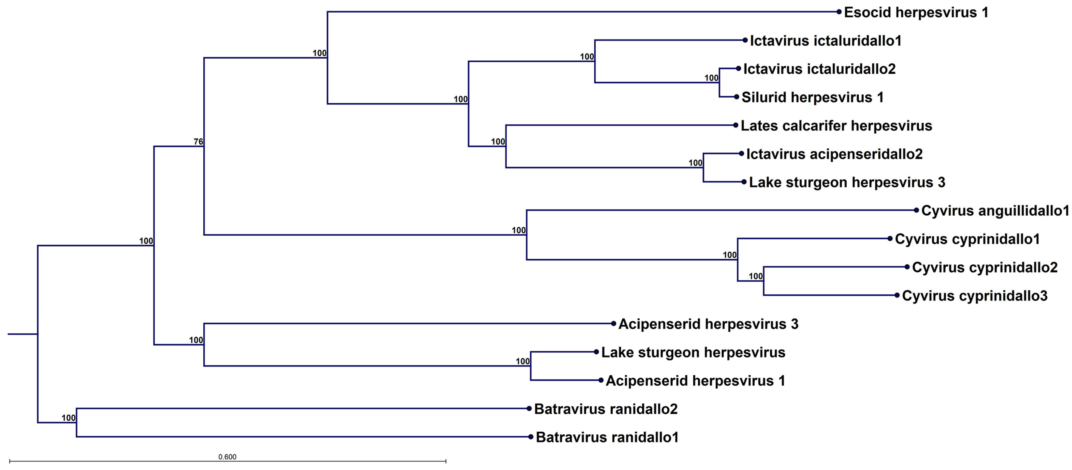 Viruses 17 01361 g004