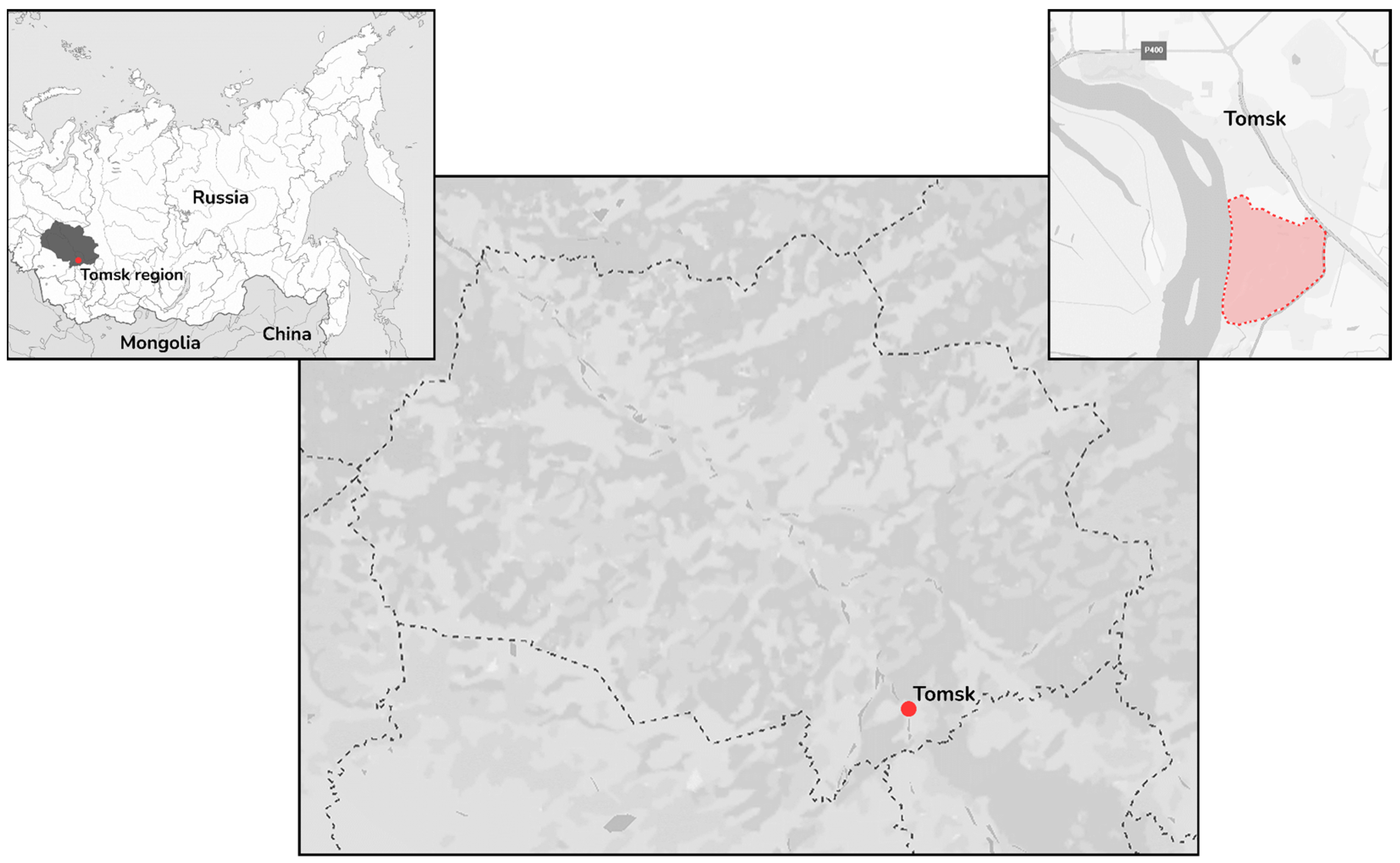 Viruses 17 01362 g001