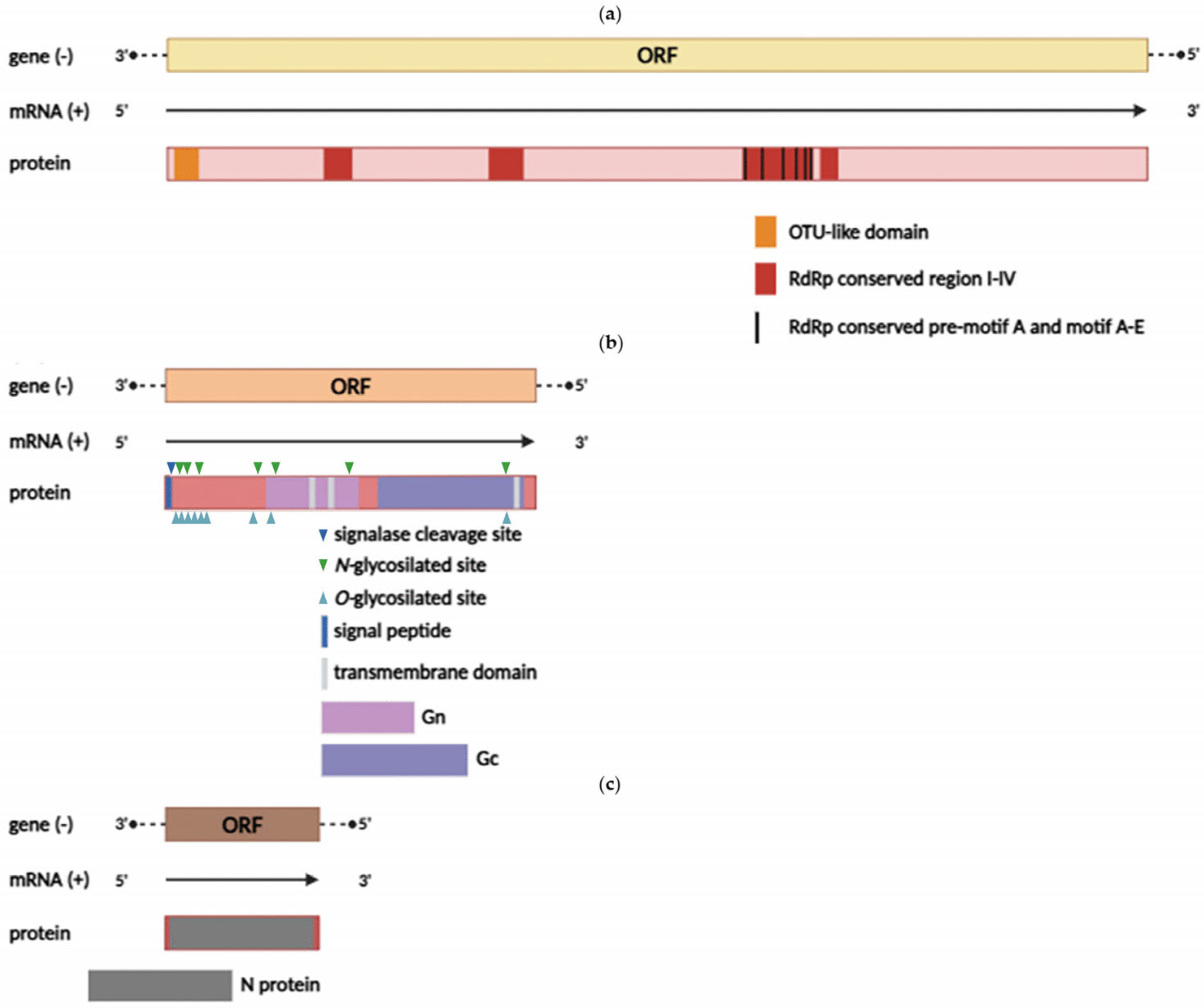 Viruses 17 01362 g002