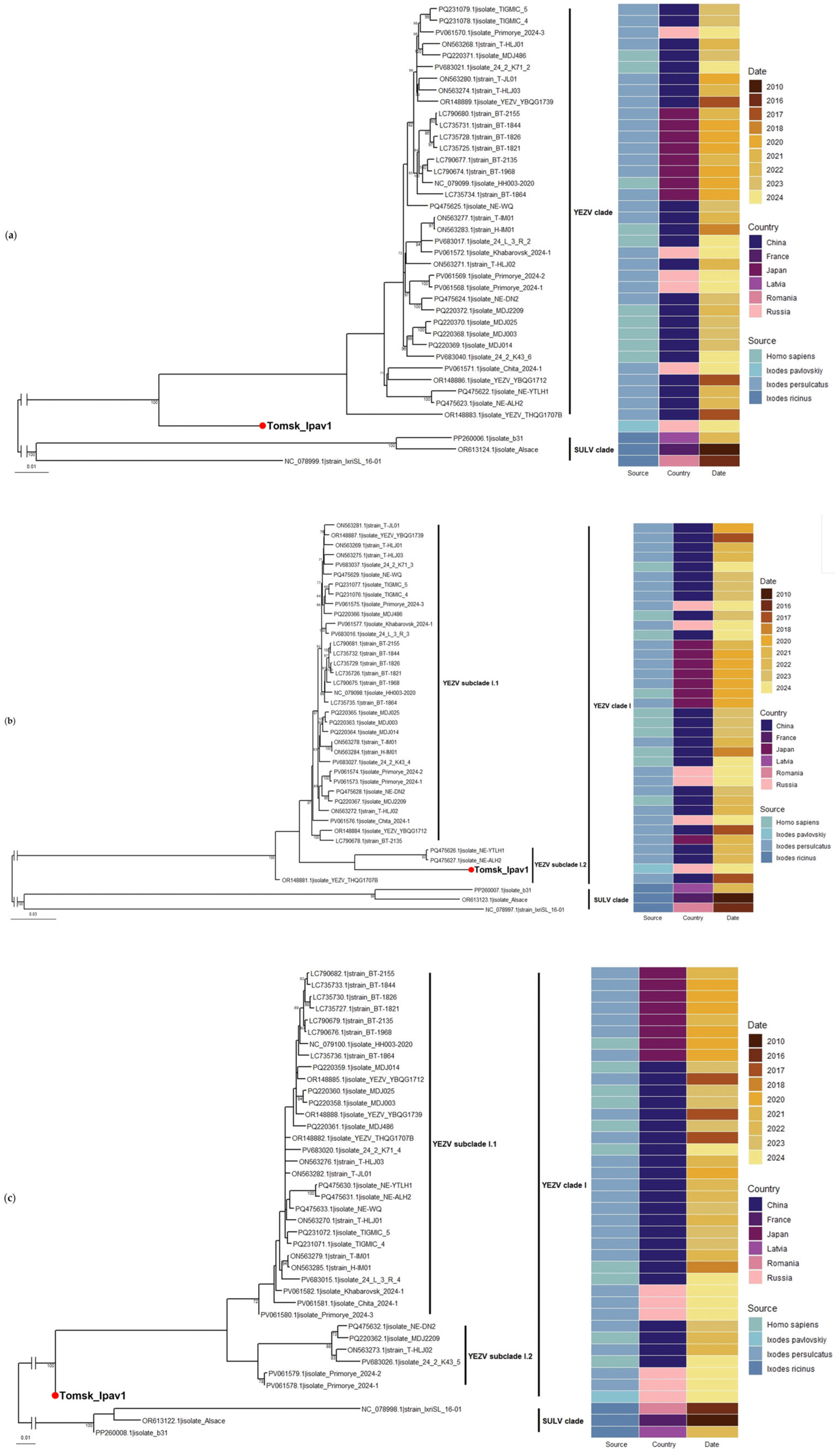 Viruses 17 01362 g003