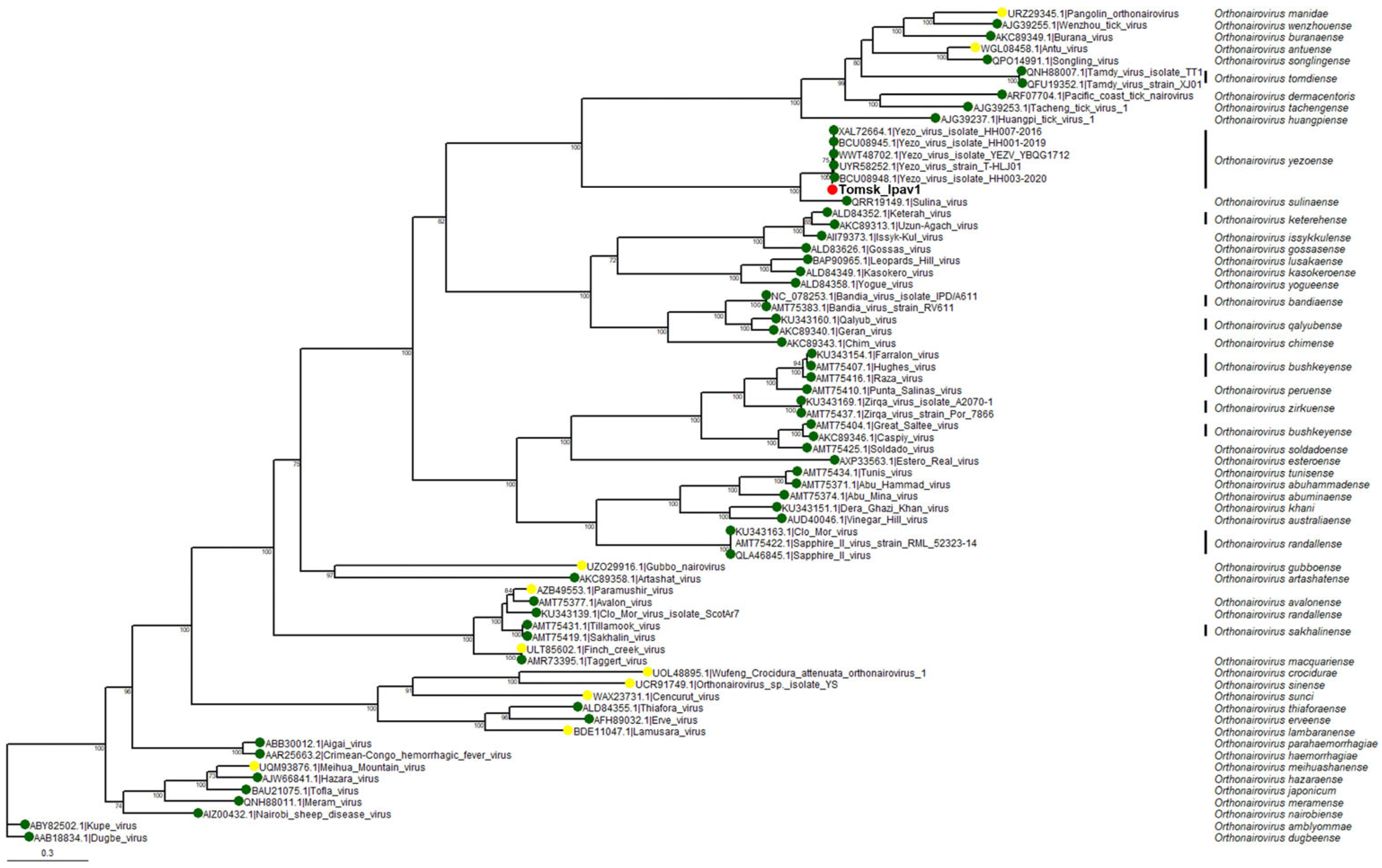 Viruses 17 01362 g004