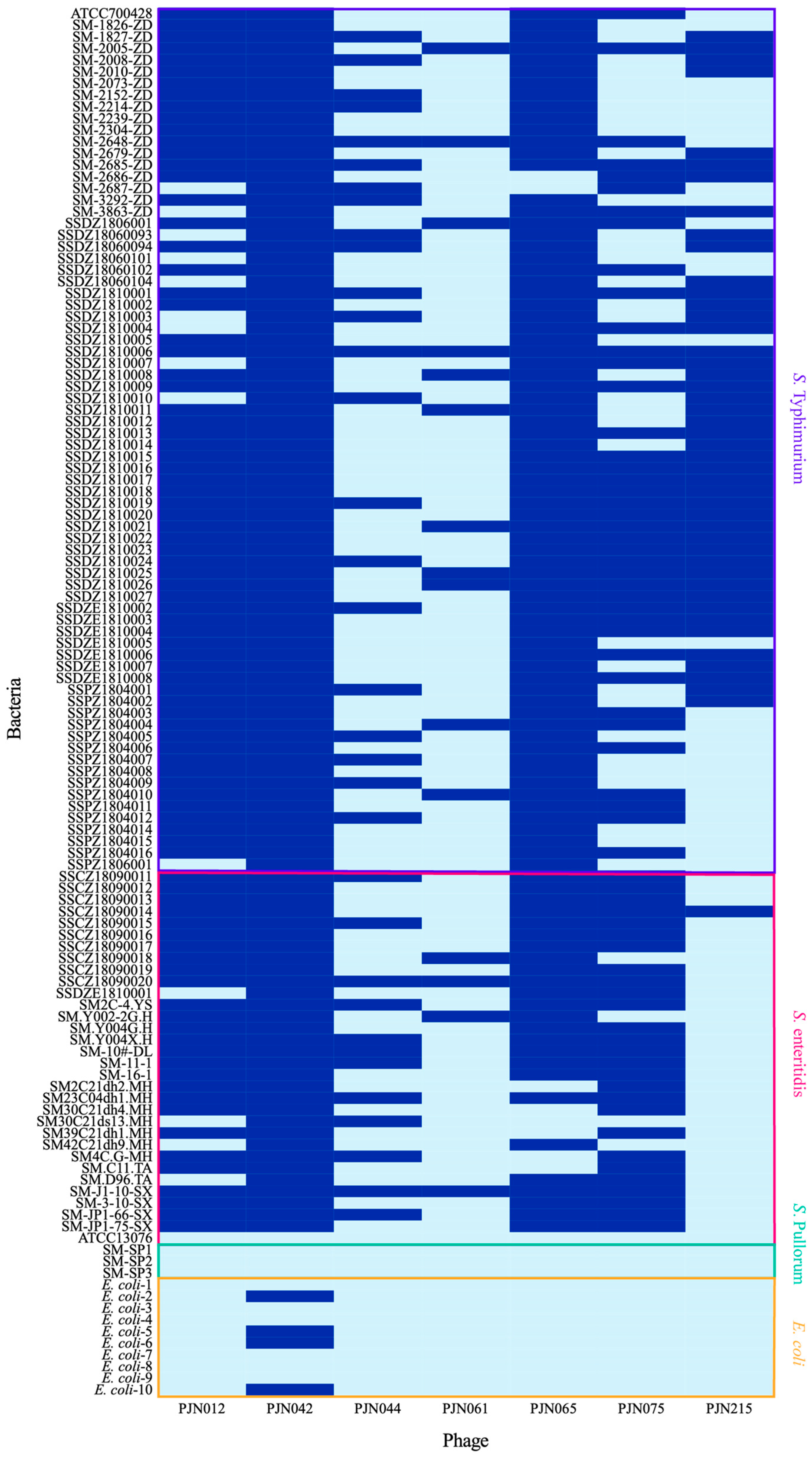 Viruses 17 01363 g002