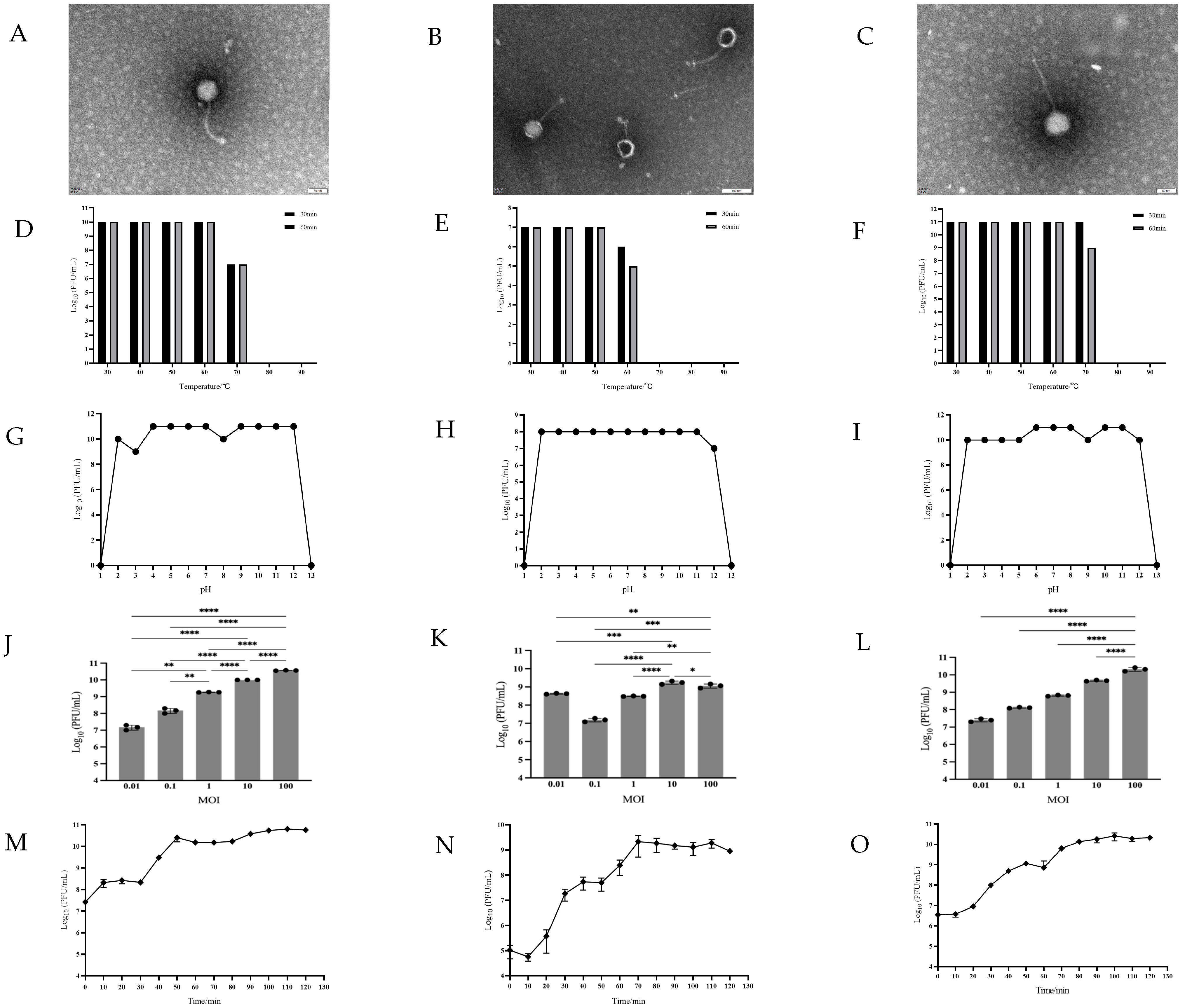 Viruses 17 01363 g003