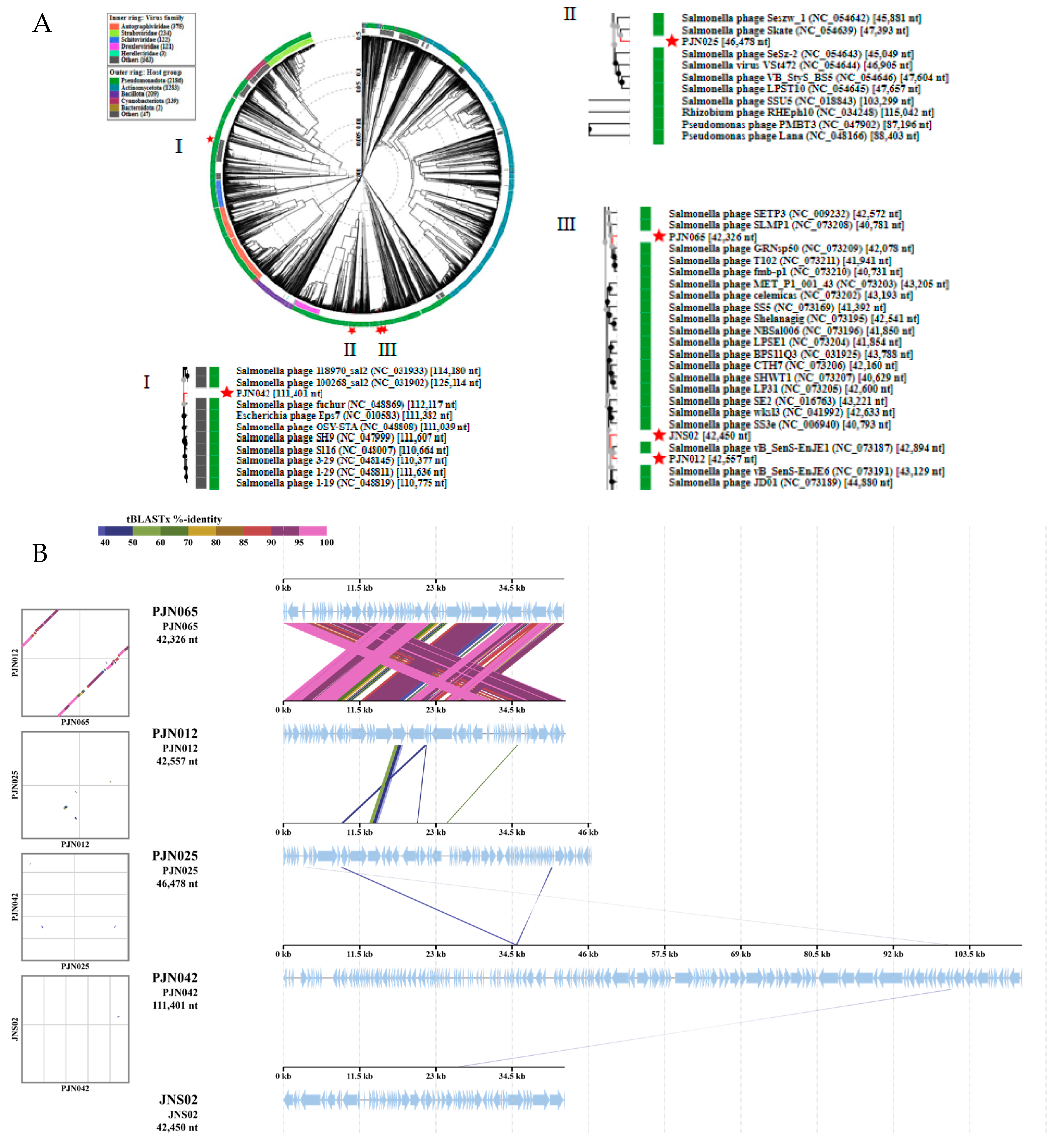 Viruses 17 01363 g004