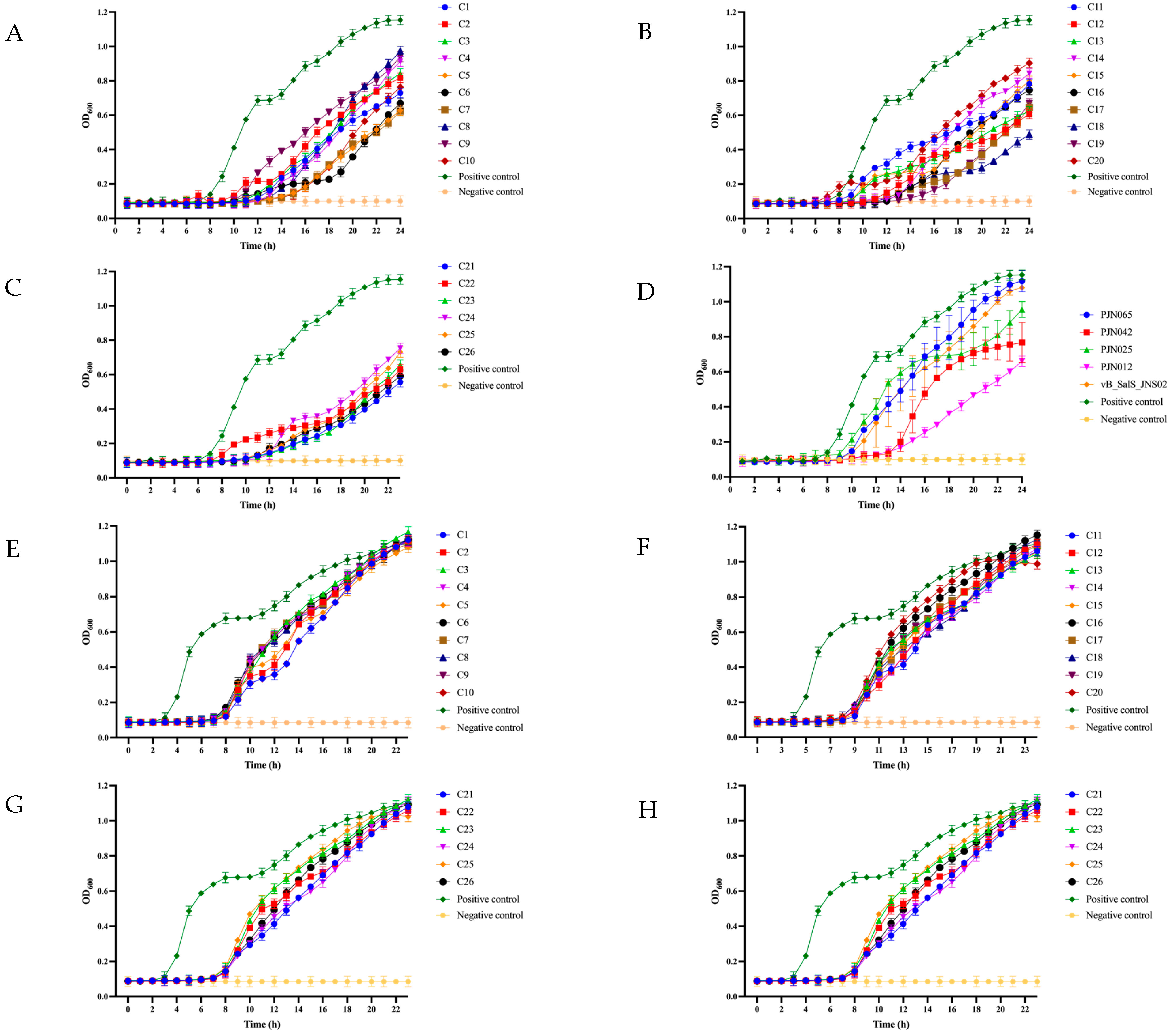 Viruses 17 01363 g005
