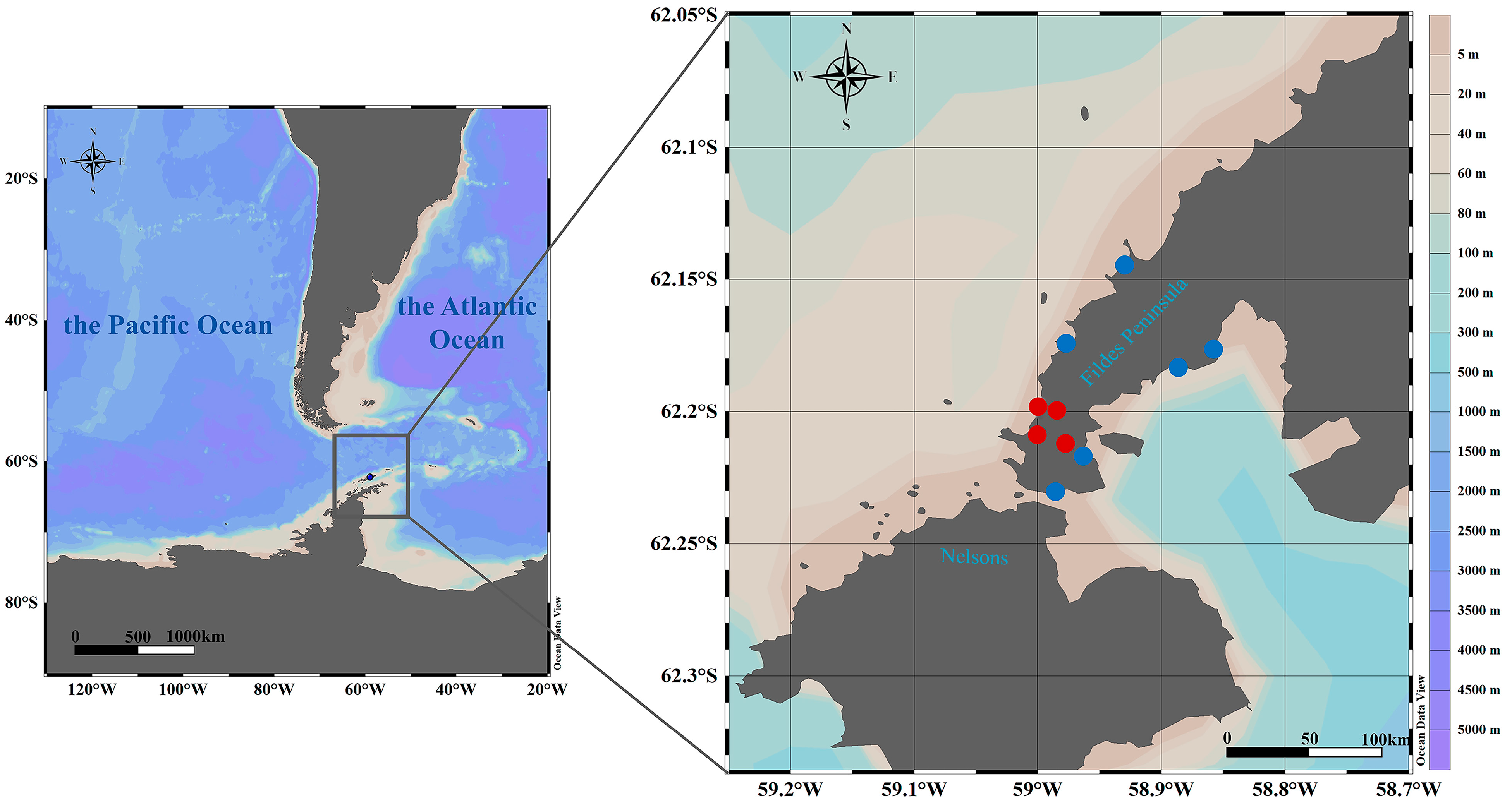 Viruses 17 01365 g001 Viruses 17 01365 g001